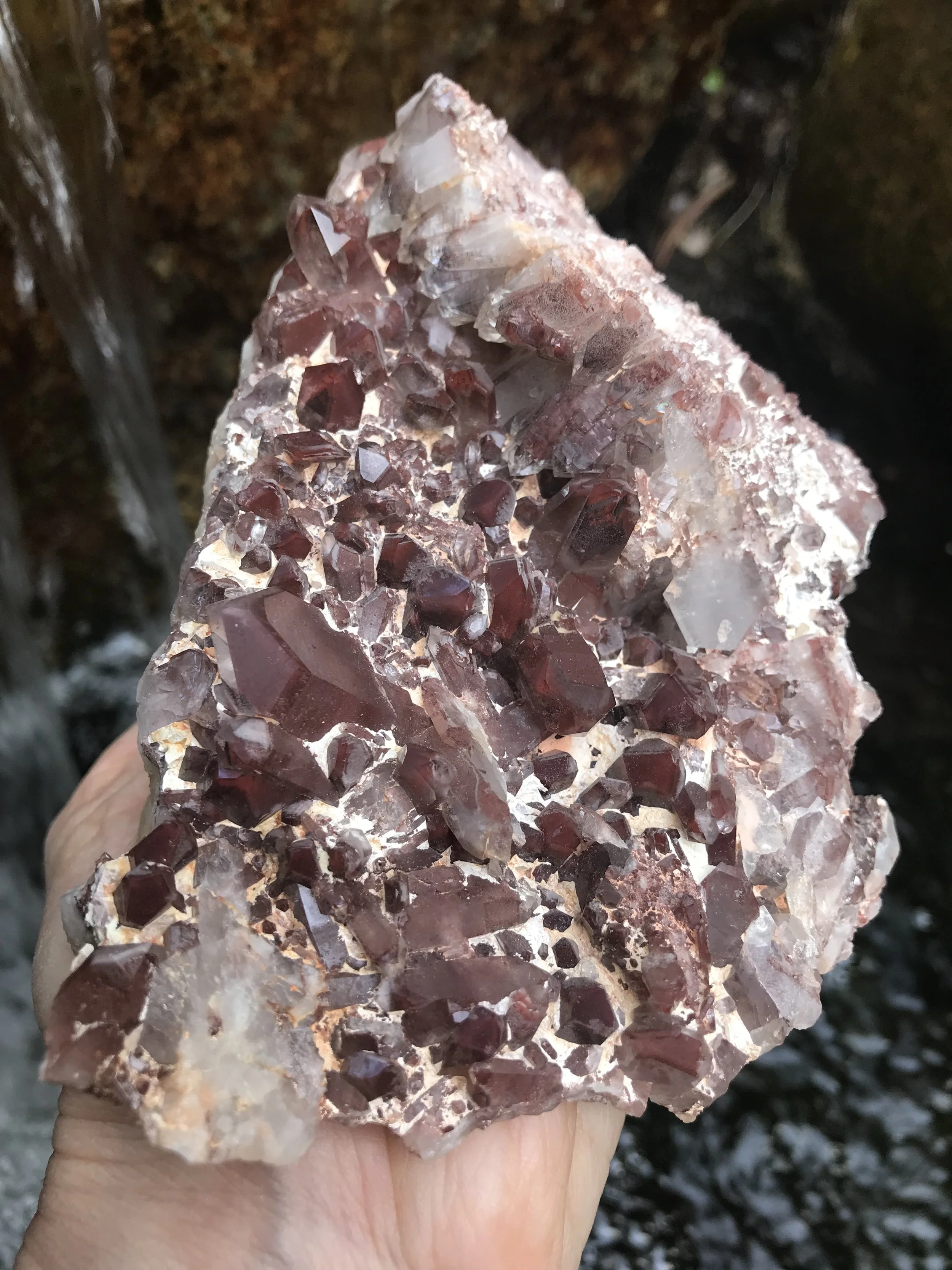 Red Phantom Quartz 8.9.JPG