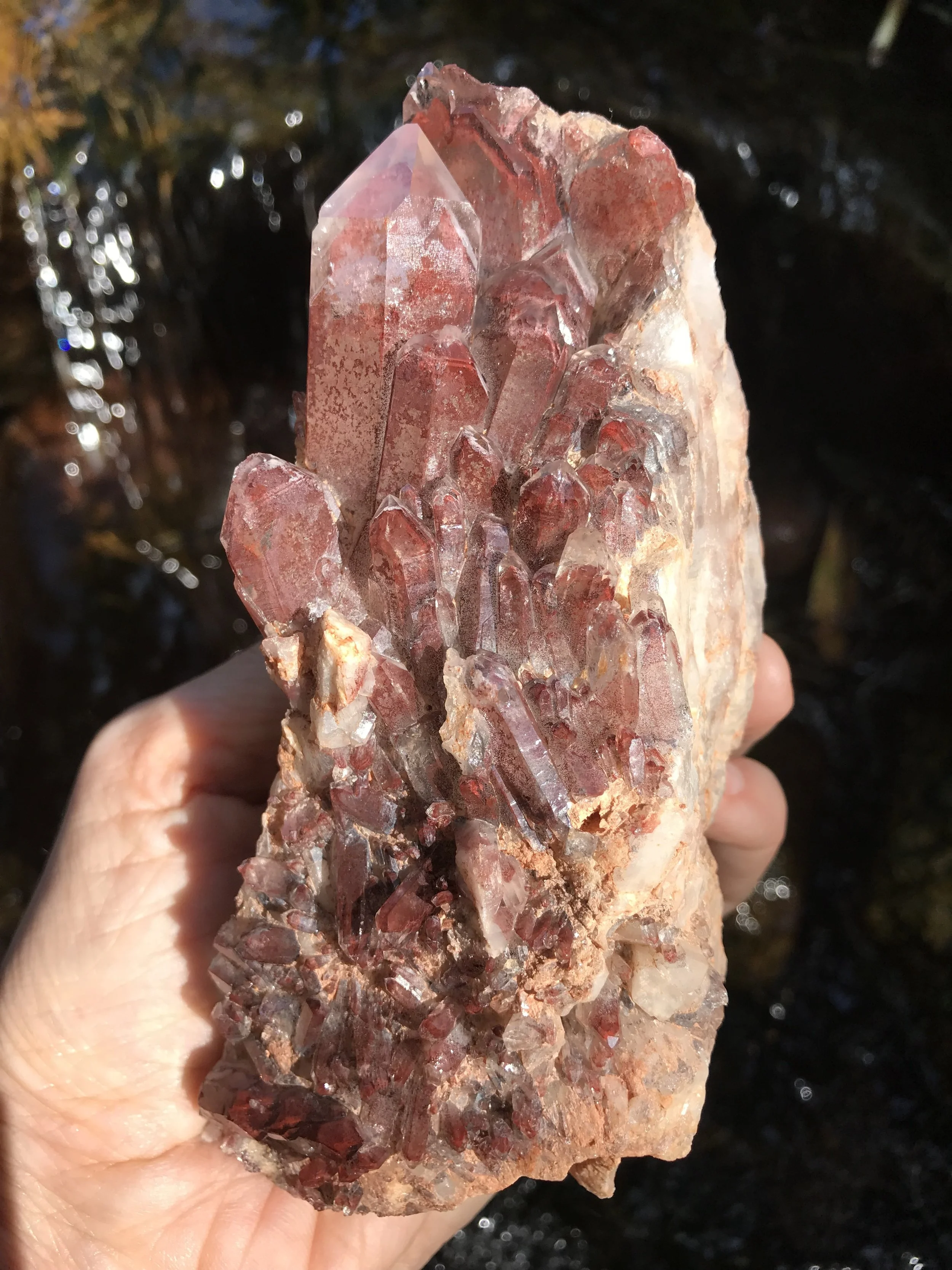 Earth Glow Red Phantom Quartz.JPG