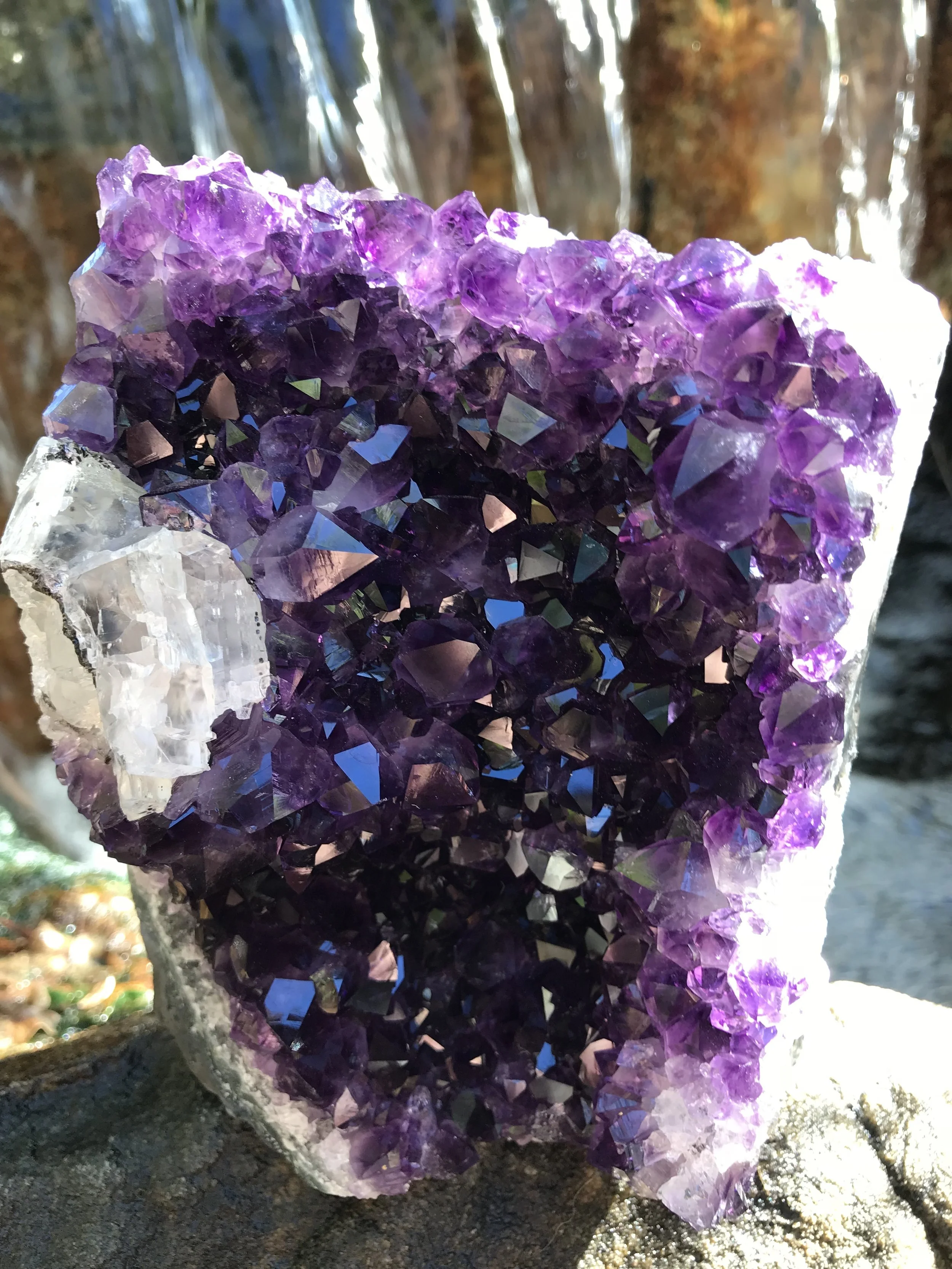 Royal Purple Jewel Amethyst Geode.JPG