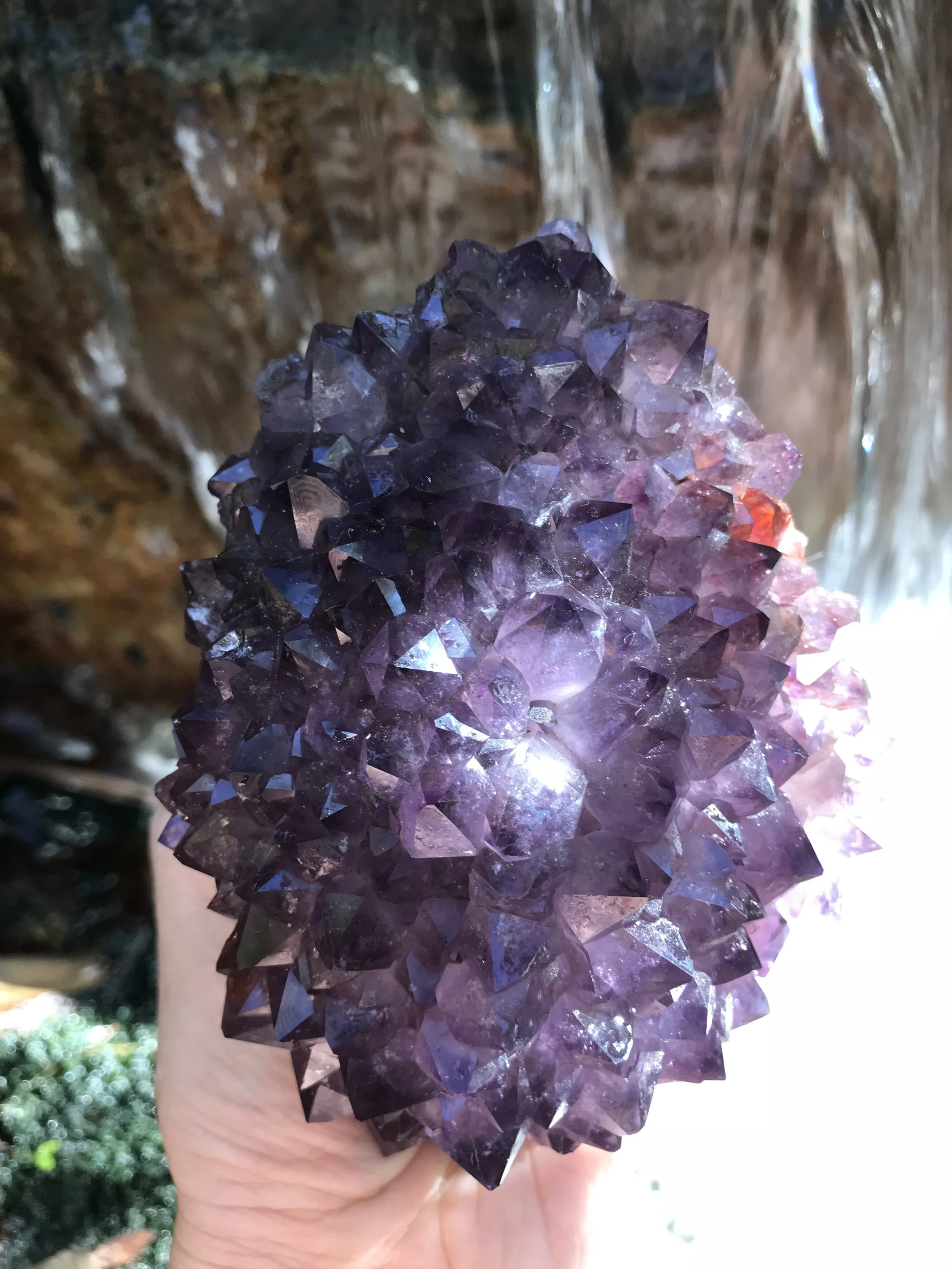 Regal Spirit Amethyst Cluster 2.JPG