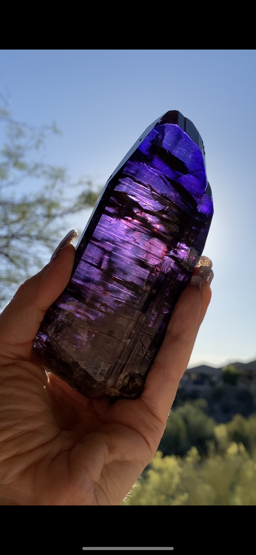 8CECA93D-5DC6-4D43-887D-0752C6CE05F2