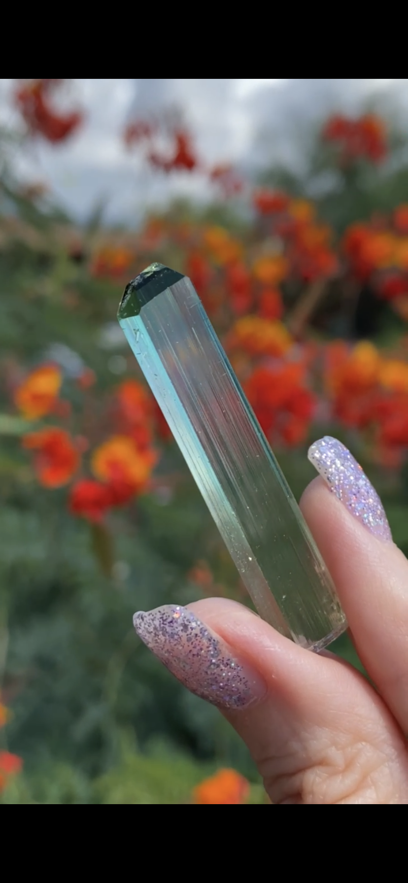 19359093-F6C2-4ECE-98EE-BF5ABB78E3A9