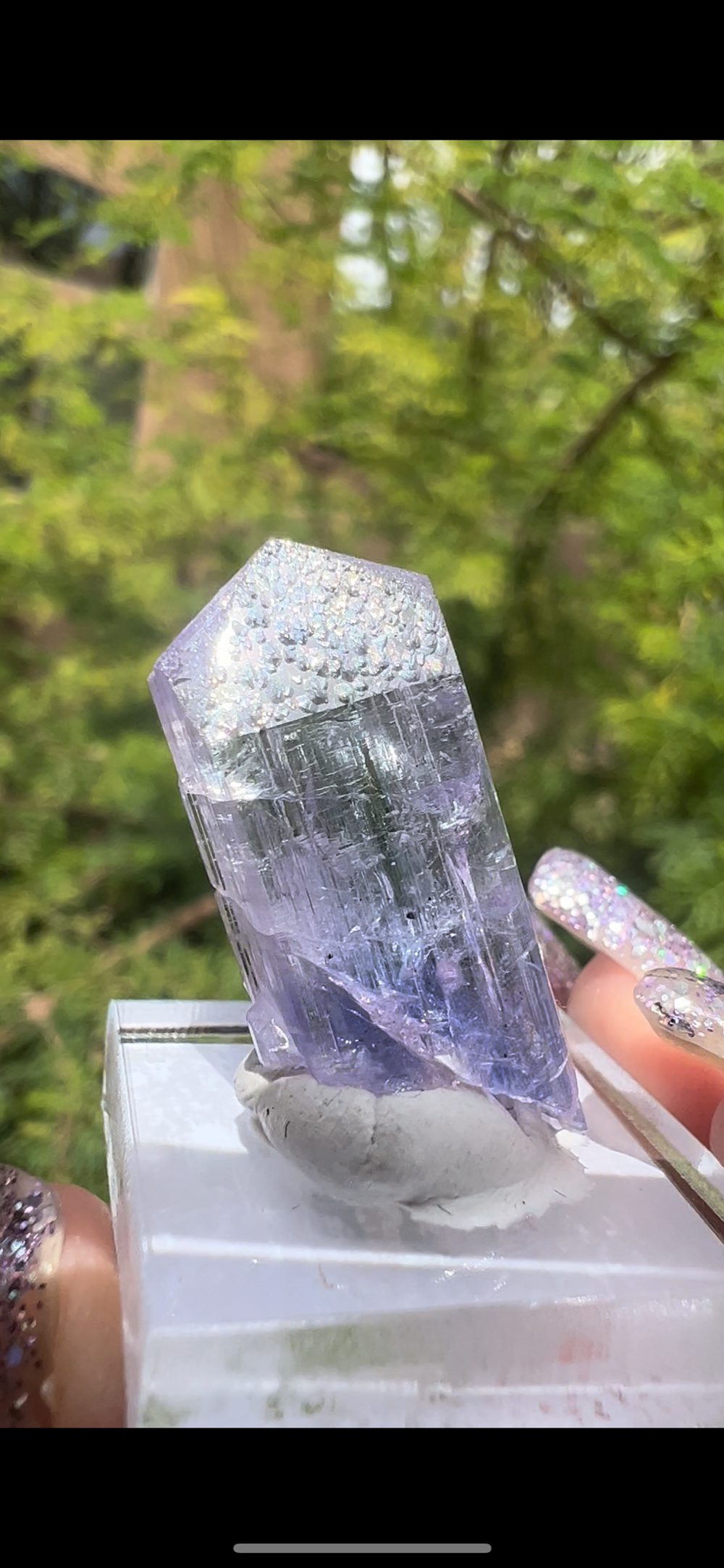 Lavender tanzanite shop
