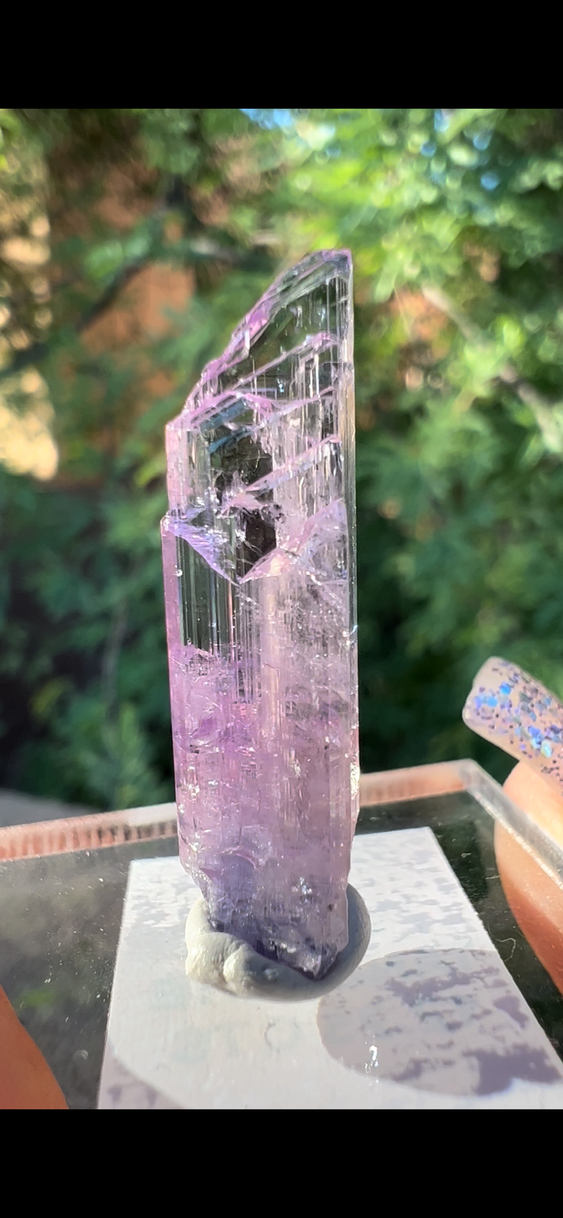 9D0F0E06-34A7-4F81-80E4-E765937638C5