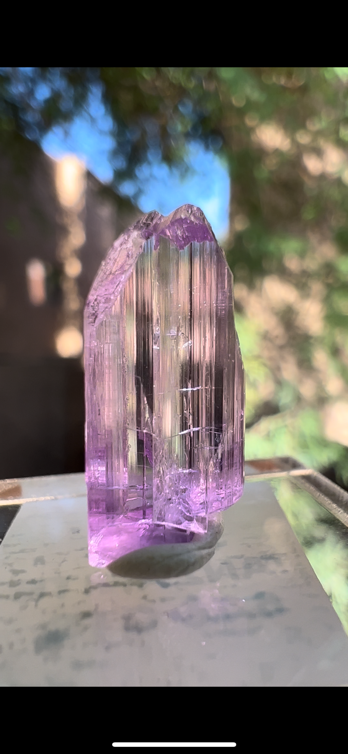 0409F27E-4C83-4DED-AAA7-C82E76F7A864