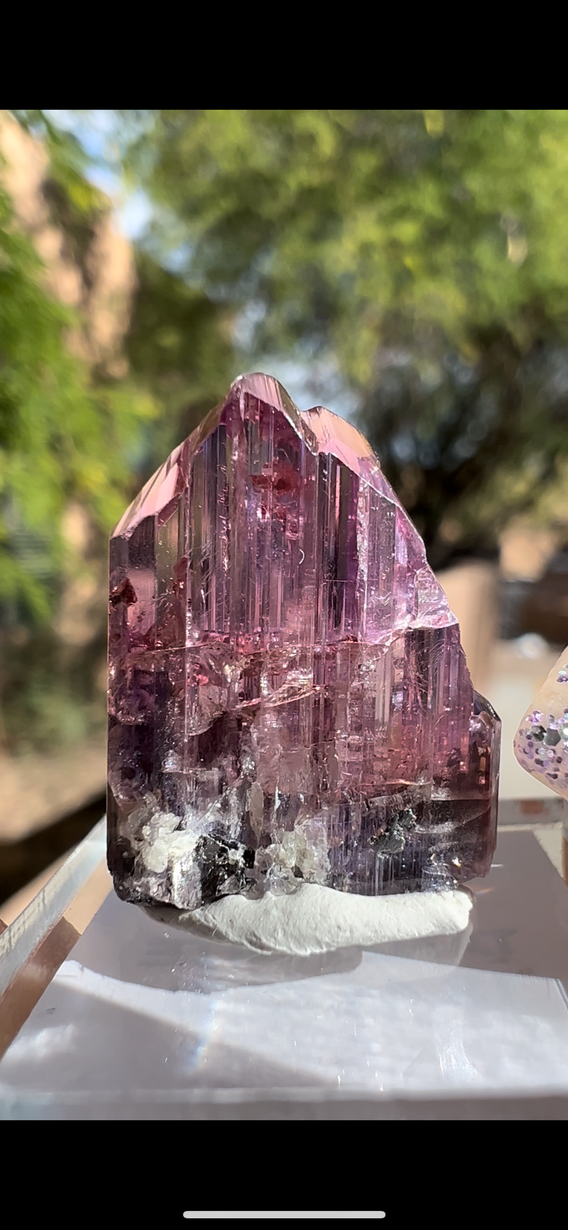 0D745663-0E57-4144-94EB-1C4270C56DF0