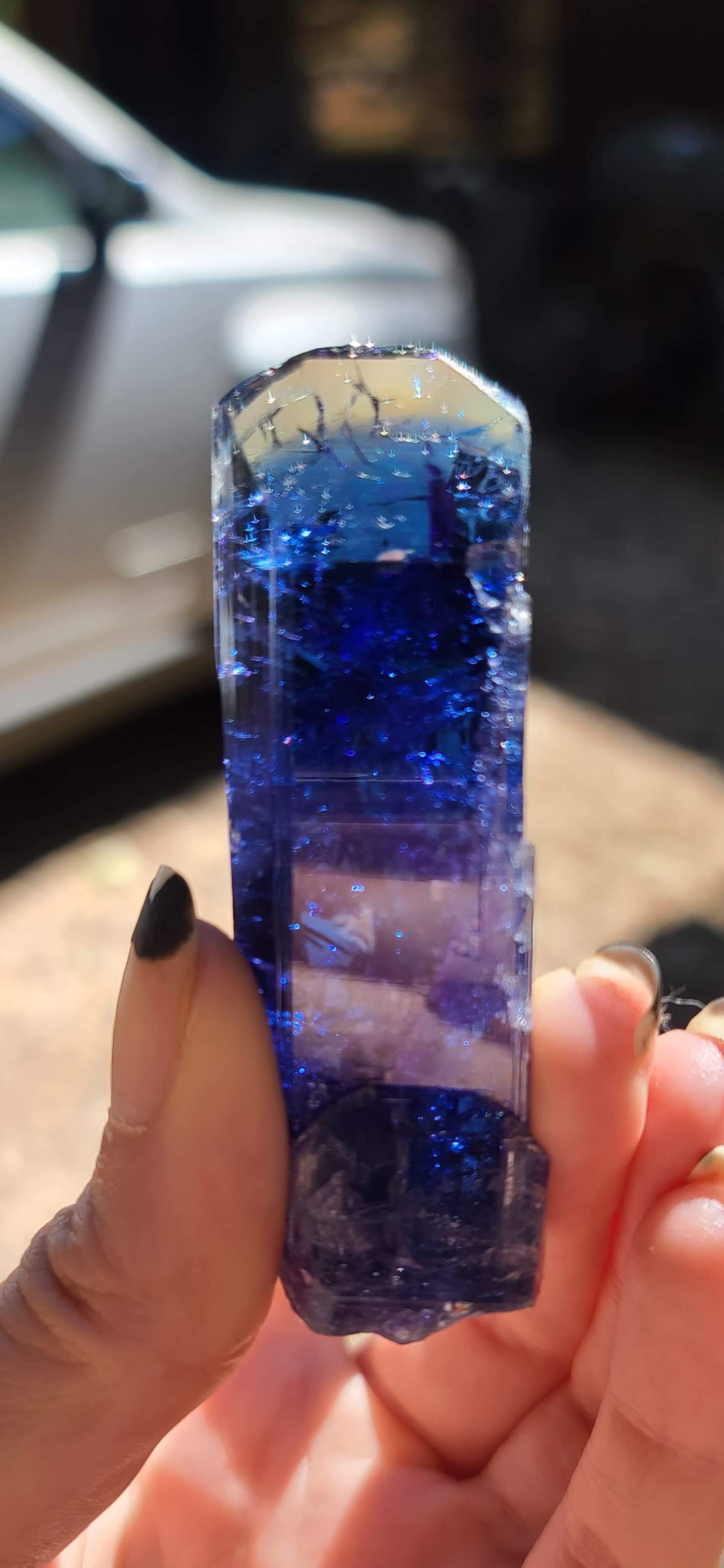 4BBE5A8D-9F2A-42EA-9698-022F80A6778F