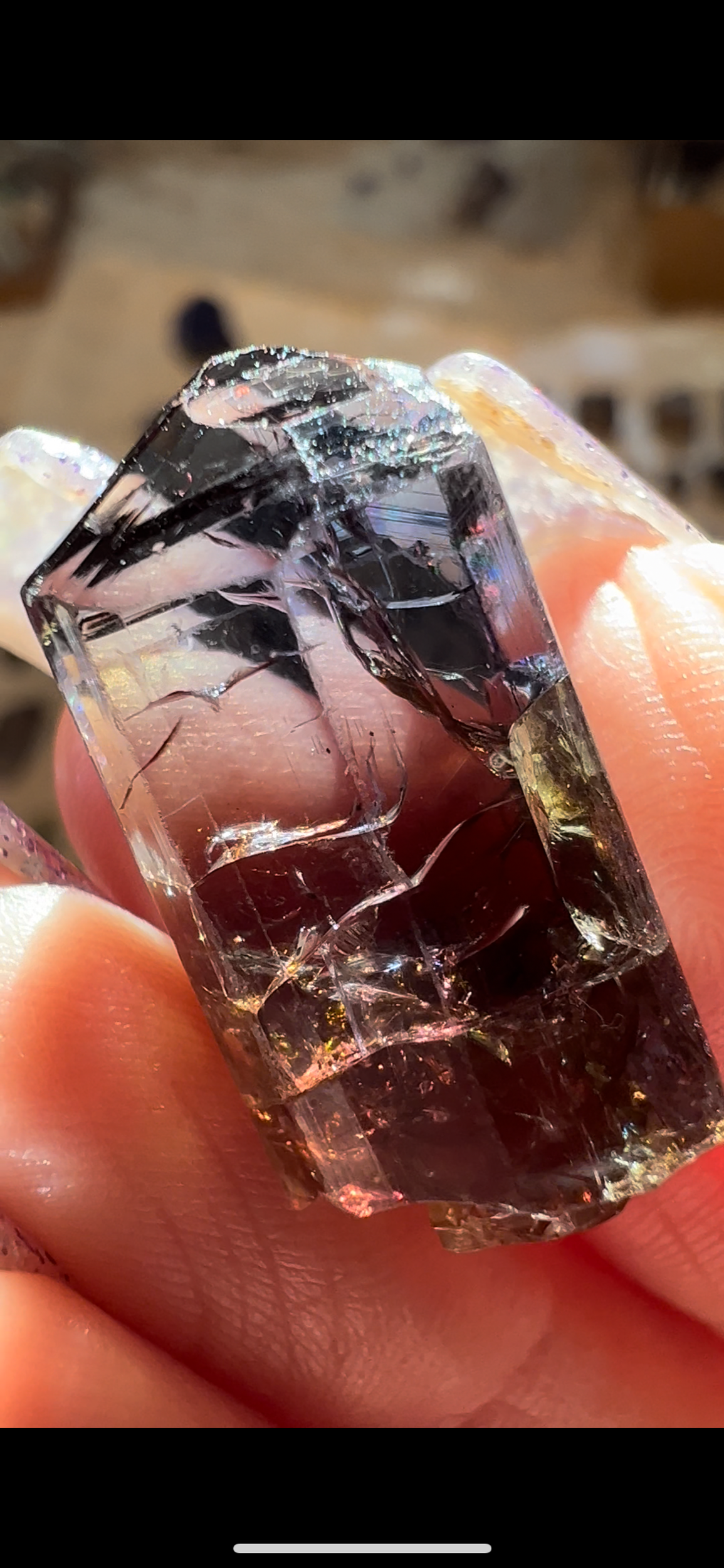 F2A13ADA-E27C-4A08-913D-2C43C3C02532