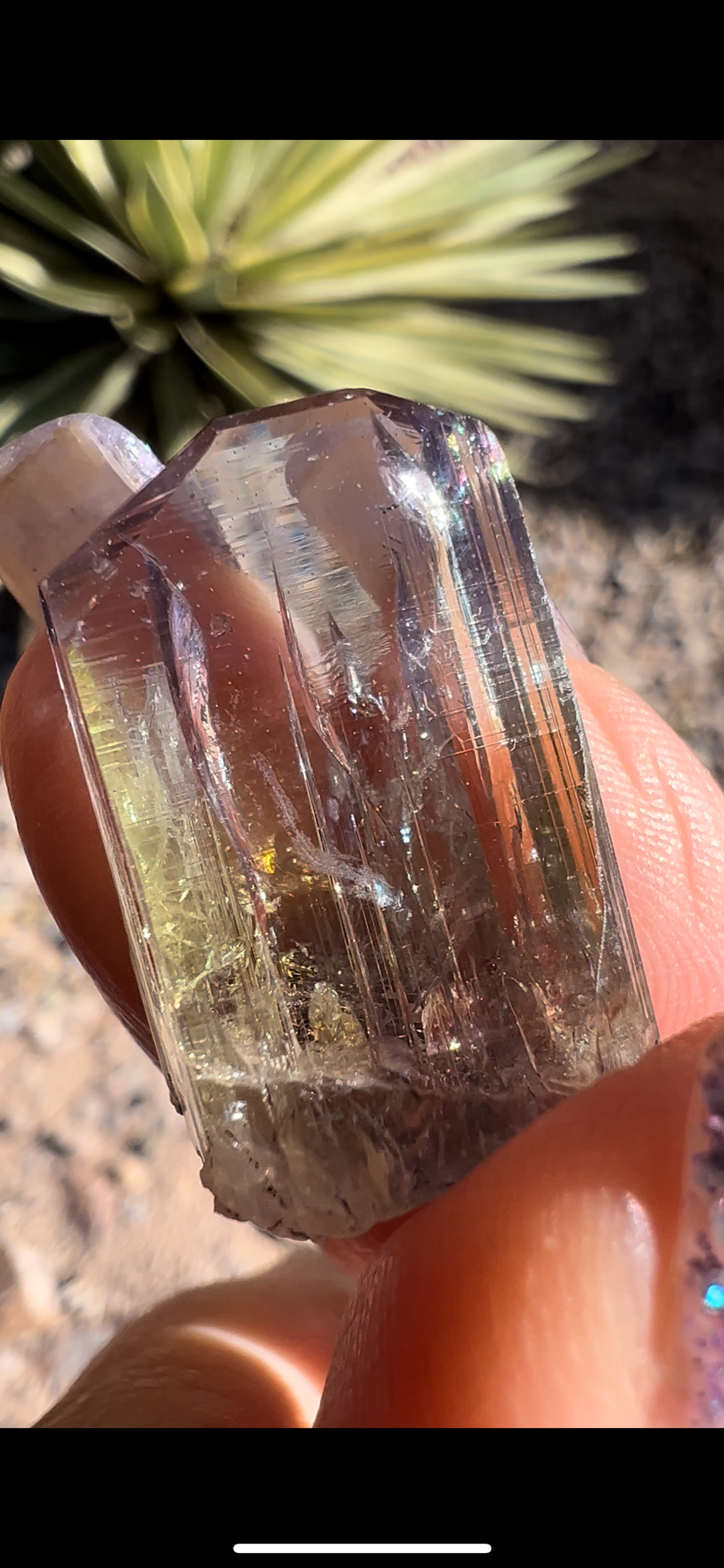 06733FE2-CAB1-435D-8501-68E8A9E1191A