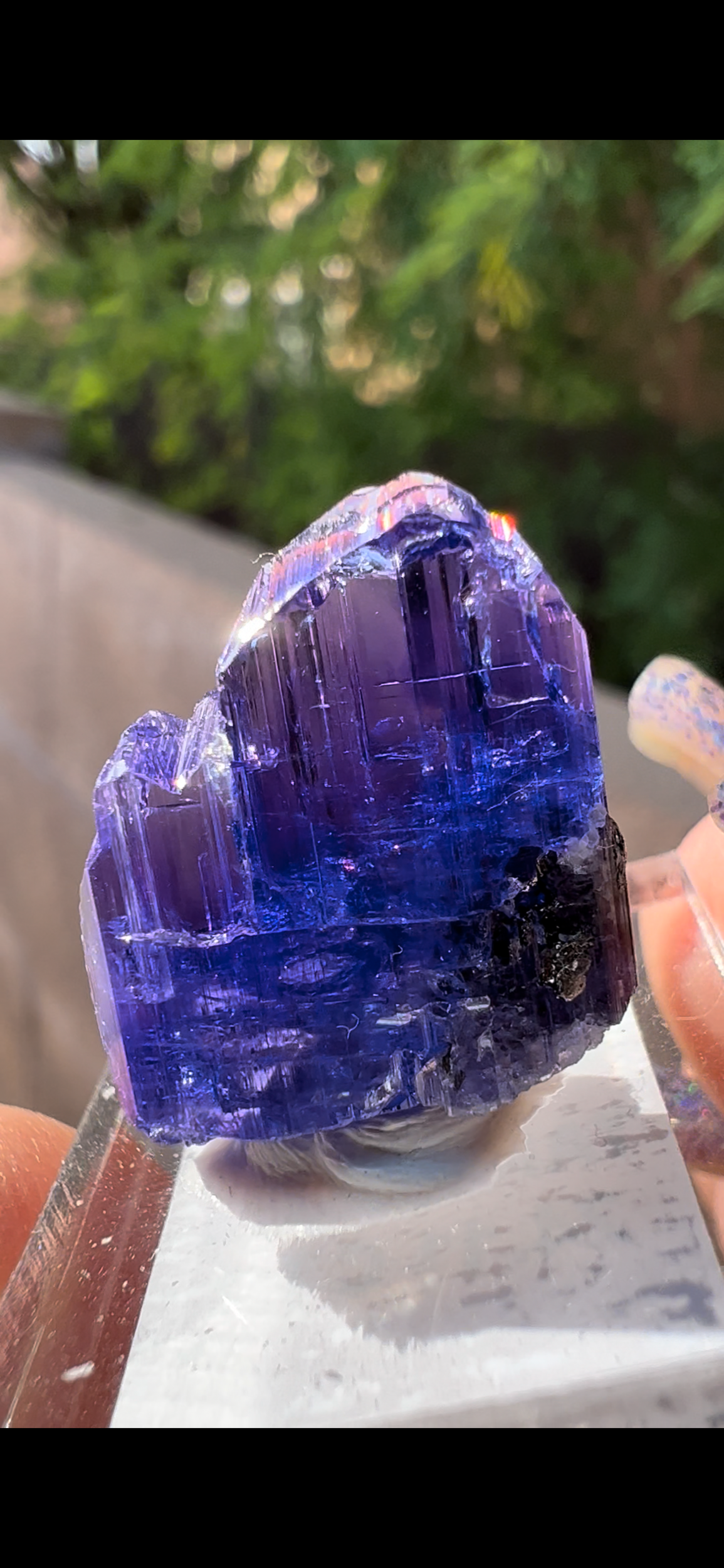 07EF784E-694C-4BE1-B215-4A07BCE46533