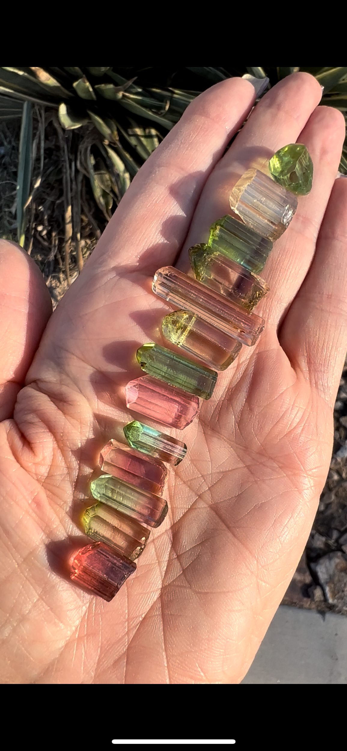 D27B89E2-474D-4448-AC3E-7F35F8F5EB99