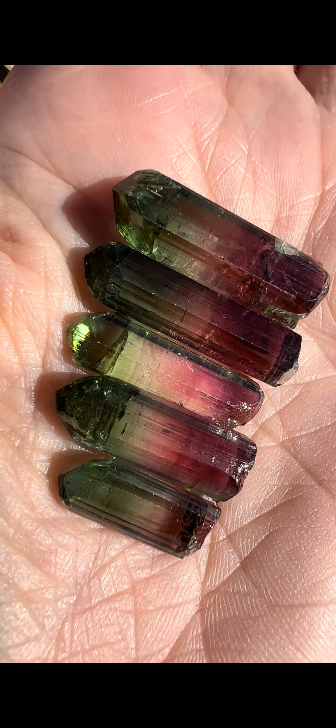 5607A4CE-2E8F-4EFE-84C2-962D0623BA25