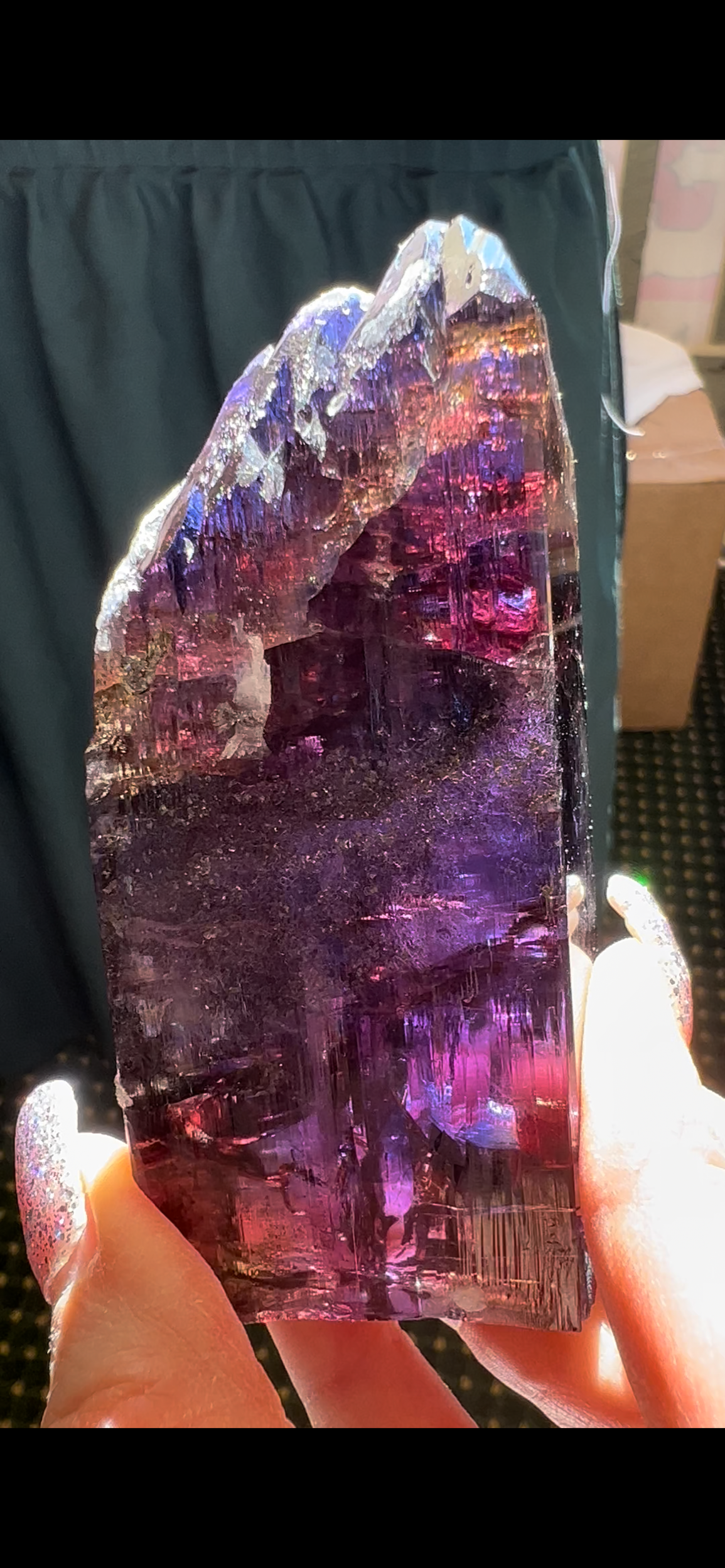 2DB9A5C5-7960-436A-9ED2-384D7B36D174