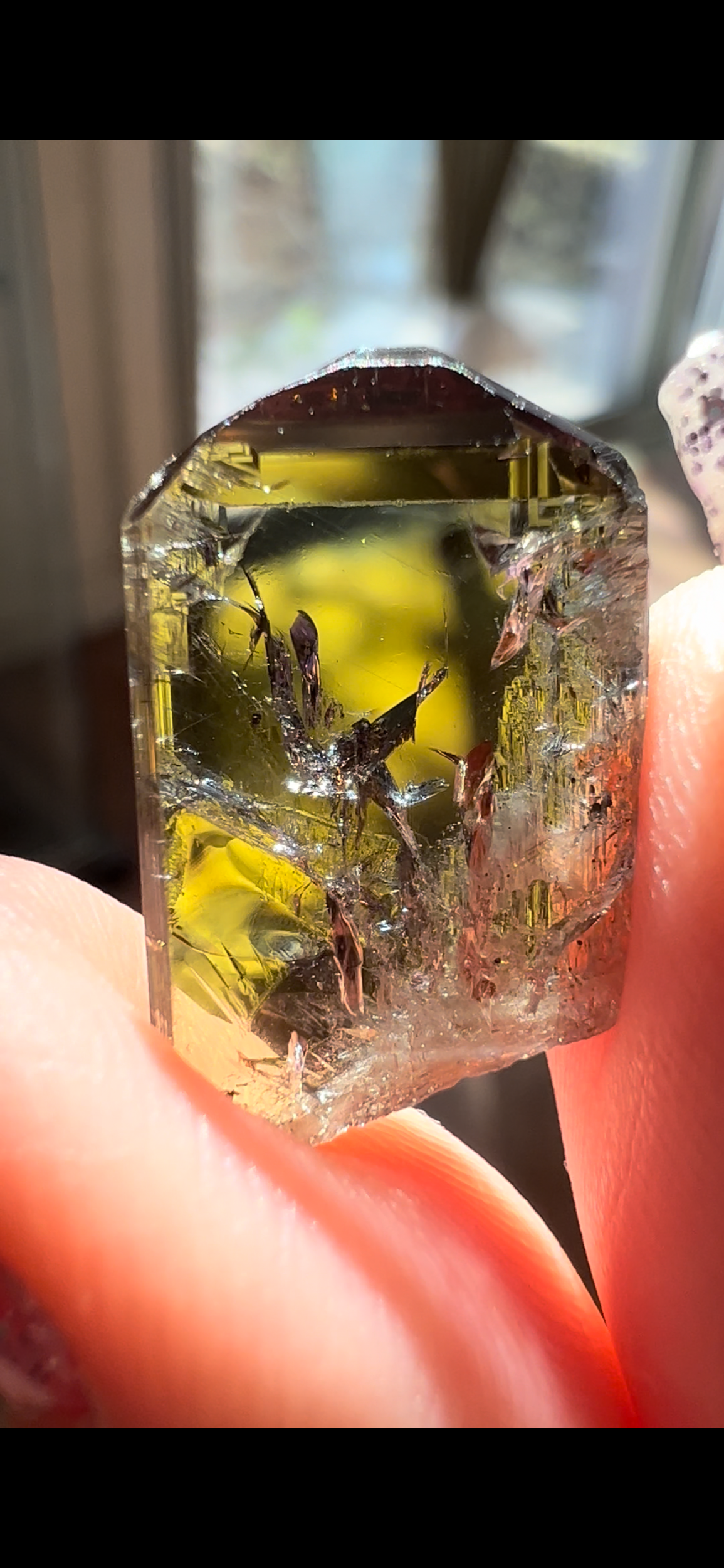 B1CADA38-66F5-4FB2-B6D6-0AA02039EA42