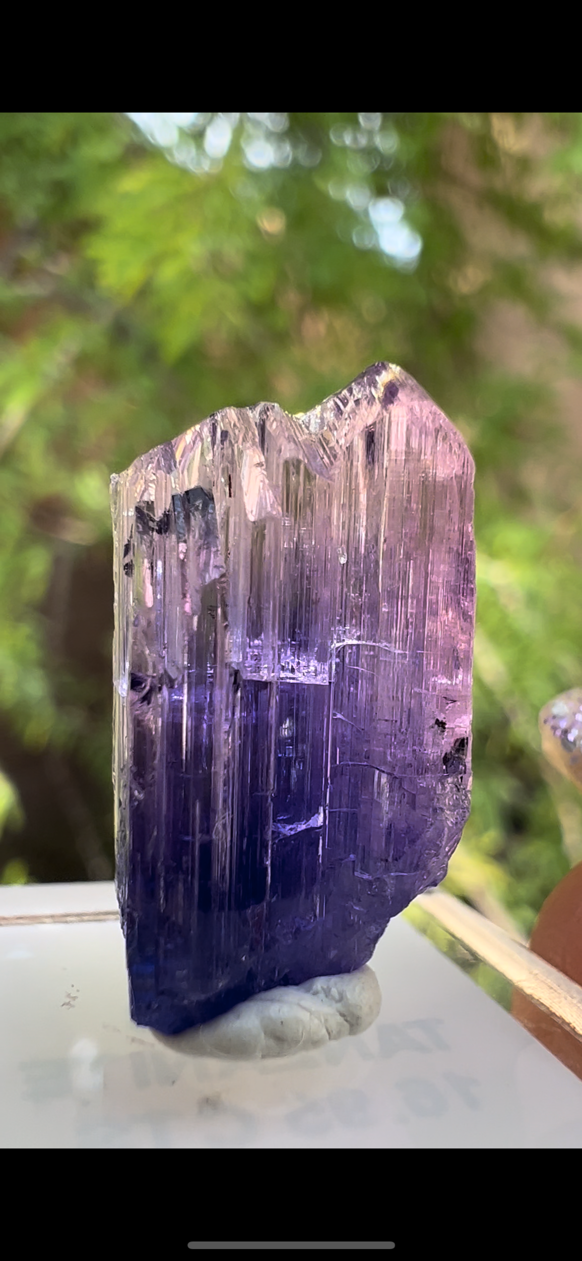 AE3CBB04-1FCB-420D-A757-60F168DBC53E