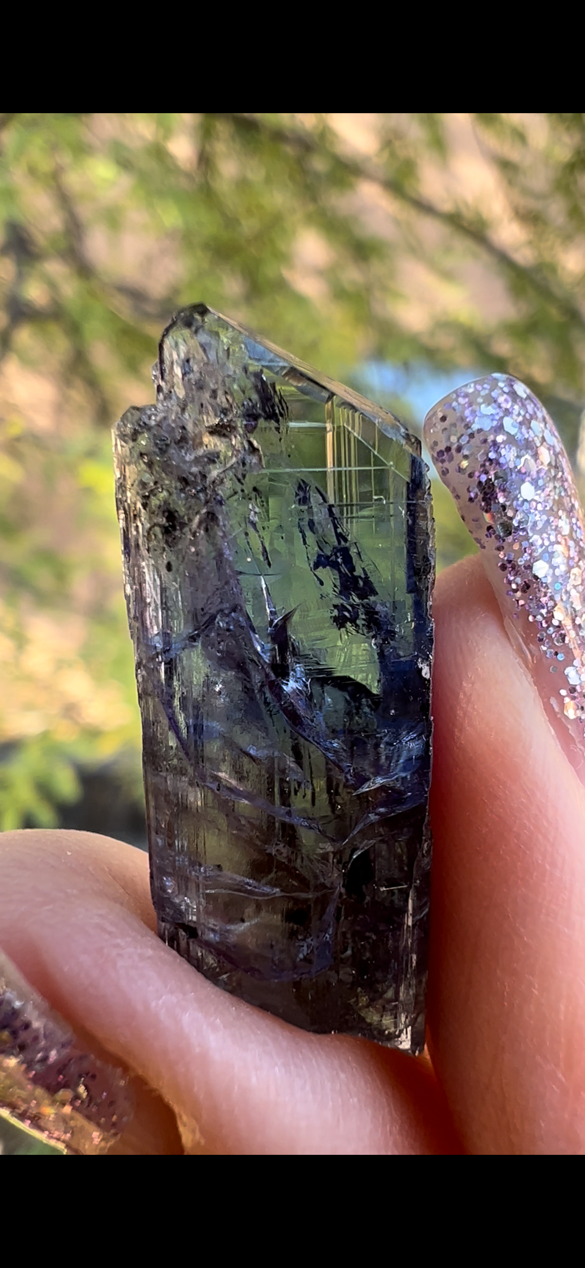 73D0BF2C-C4F6-49ED-BAA8-1559D807AAE4