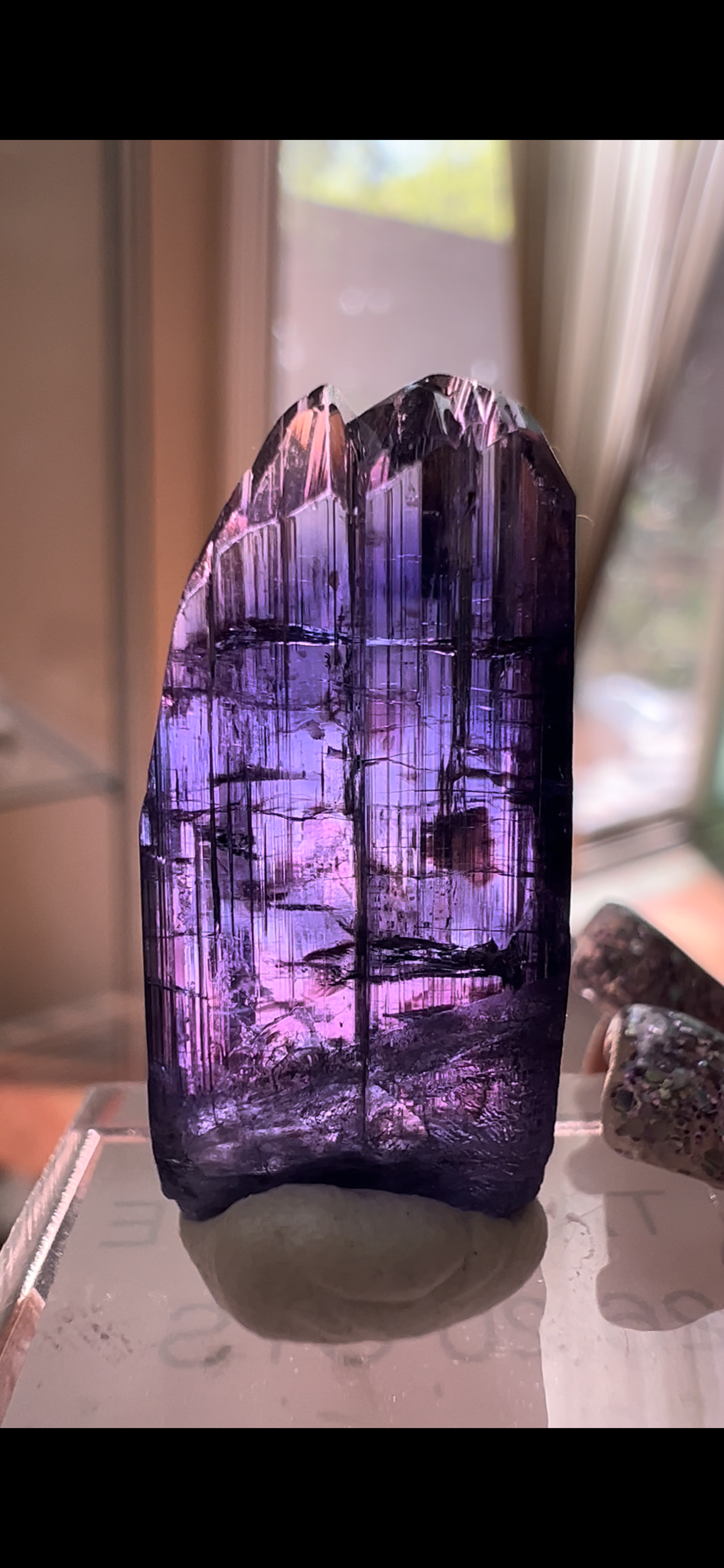 9032508D-6E64-4D09-882A-489F77B96B16