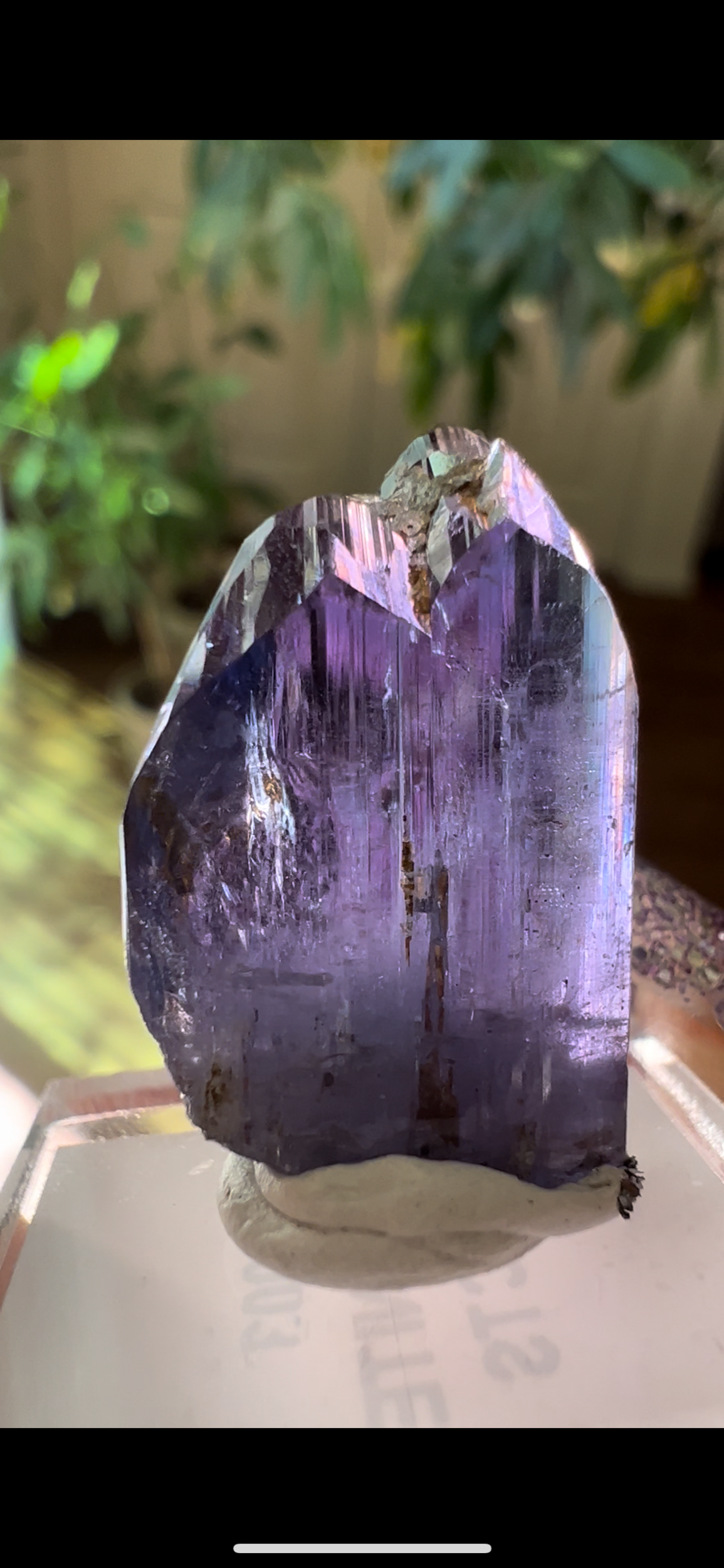 1E4C2C4D-2106-4563-B808-970104695E6C