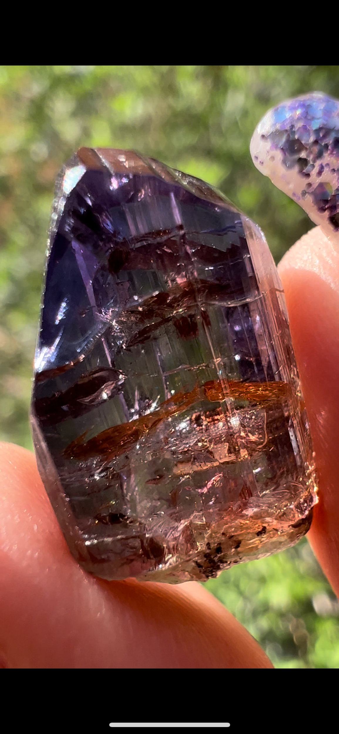 C3308EBF-EBE3-491B-BD4D-F17C95932909