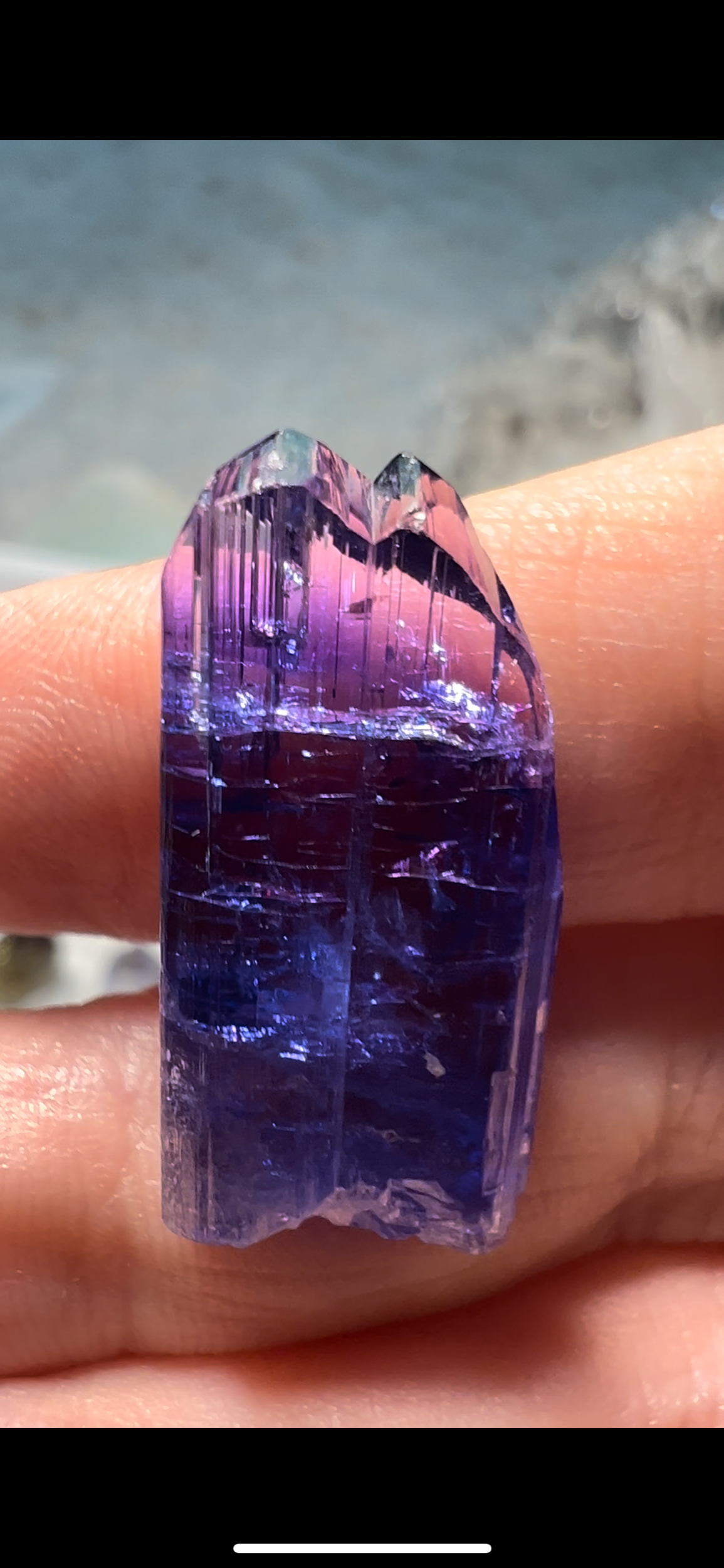 4DEE0EDB-3409-435B-B847-D9F4B2785DD5