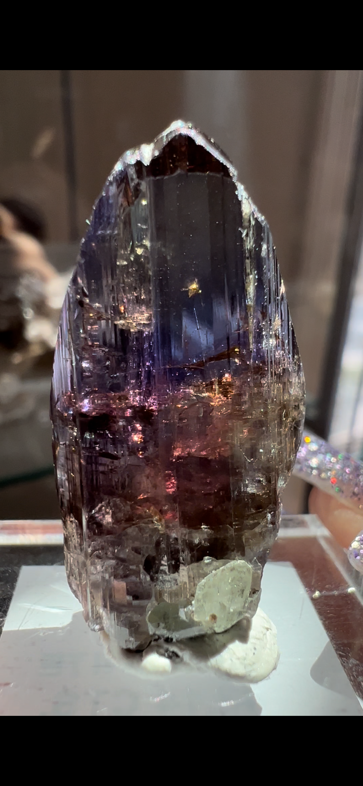 5DD5BAC3-8431-4DA3-9DD8-13B164F033F3