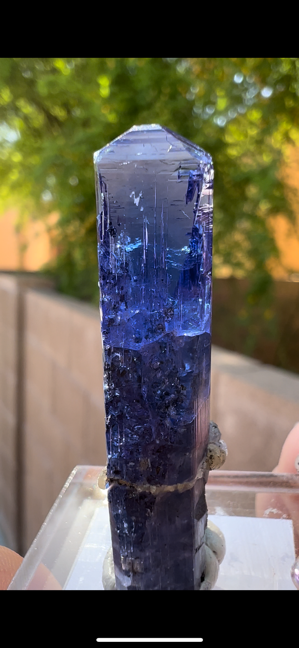 6C61A921-353B-4175-8627-08585623AA62