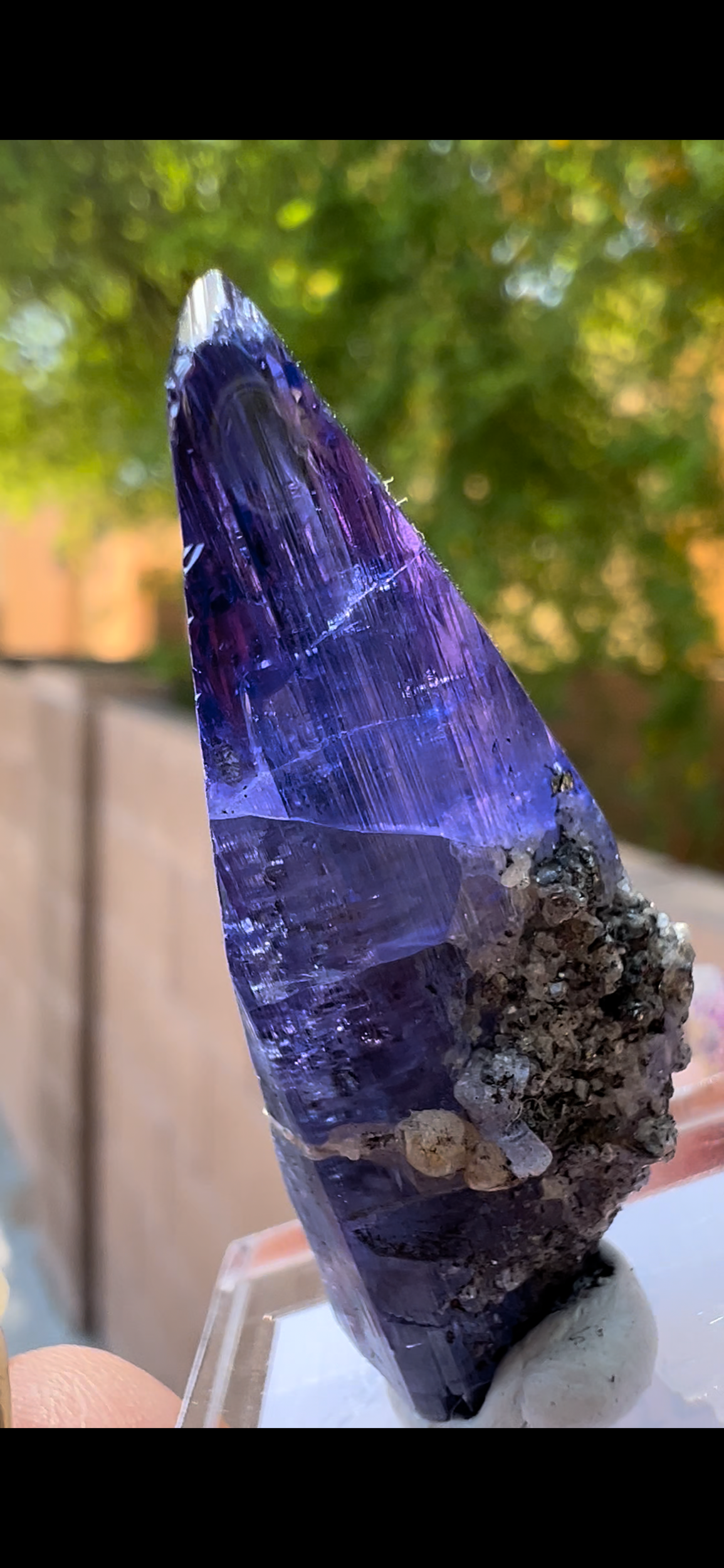 E69079C3-4685-4293-BC6B-630F0999D435