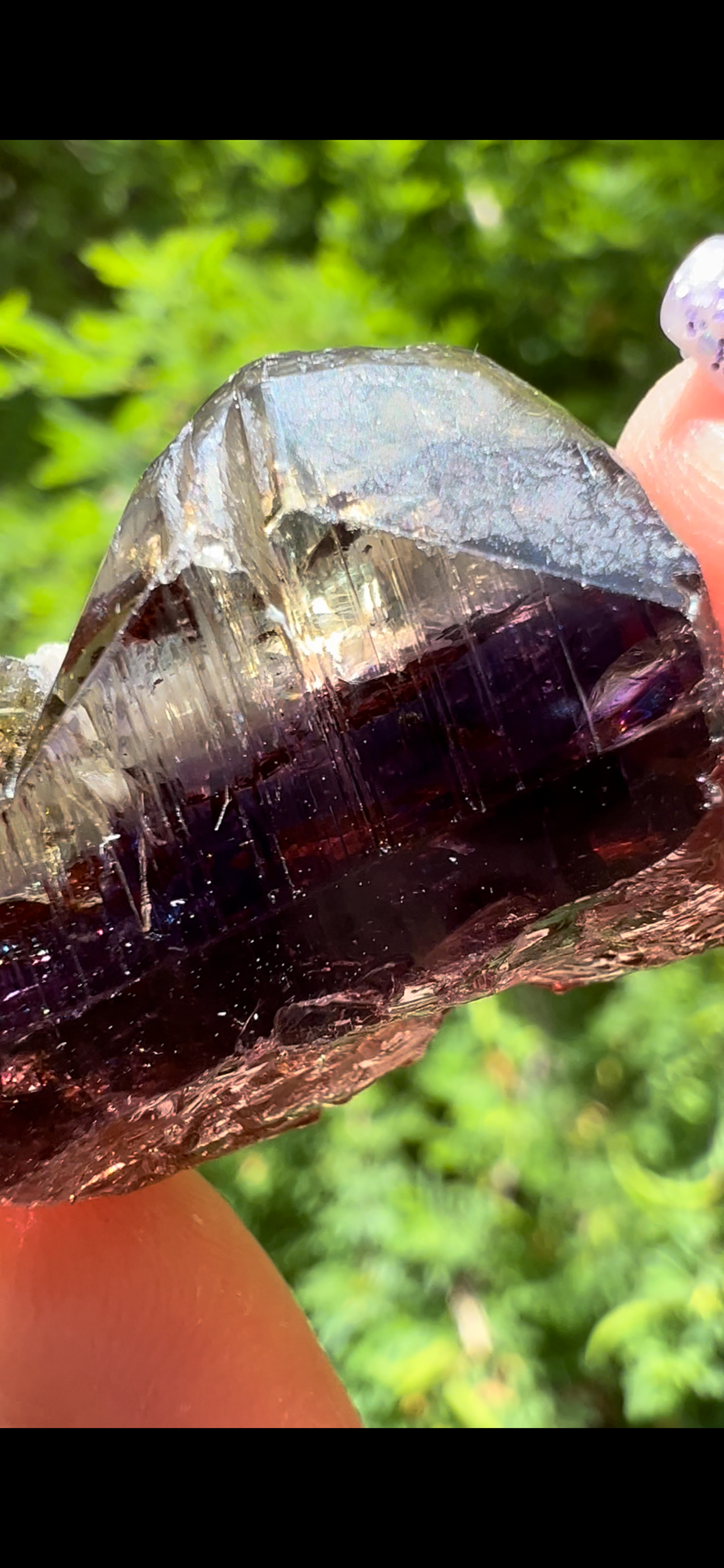 BDF8CA8E-2D4B-4677-B477-D3898EA5B52C