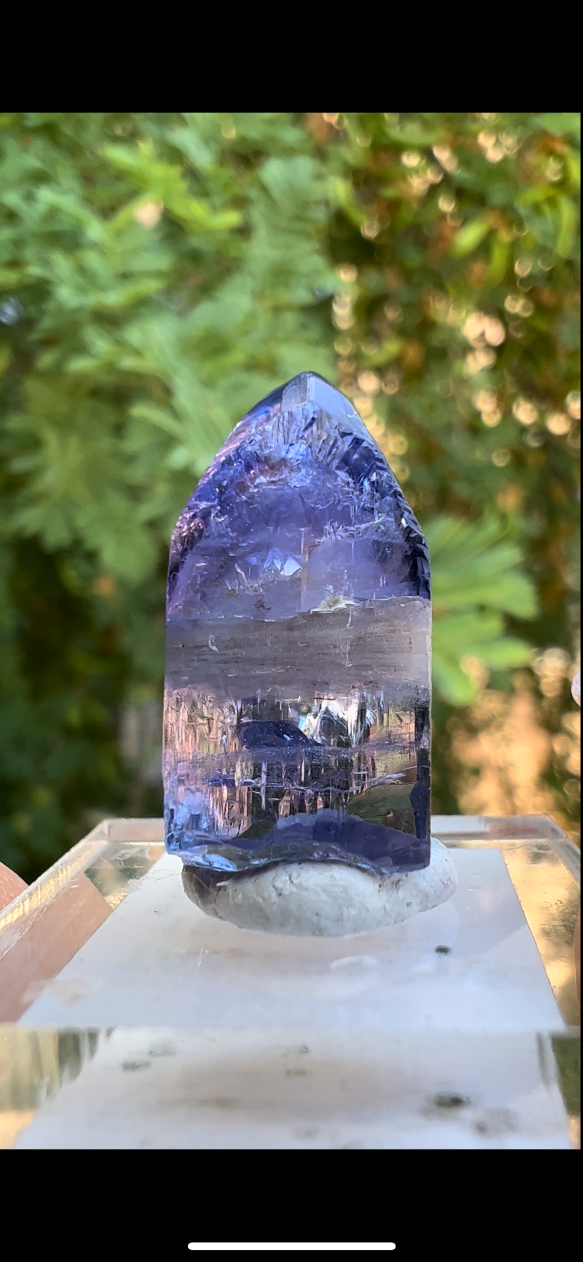 6E54F356-3F8B-4B12-AD83-59E047D3616F