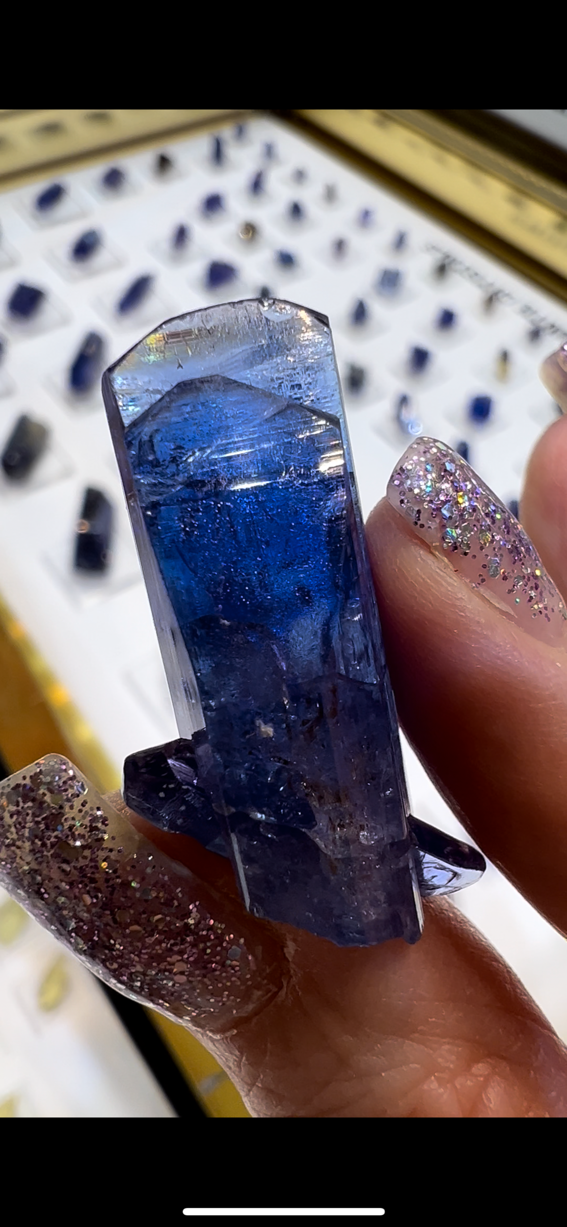 D69F3653-20F8-4C65-8E1E-B5CDD191C9BD