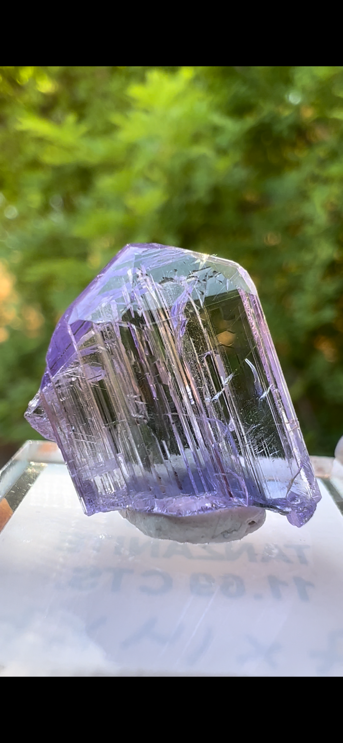 07F04677-FA9D-4DB6-83DB-F099490EF986