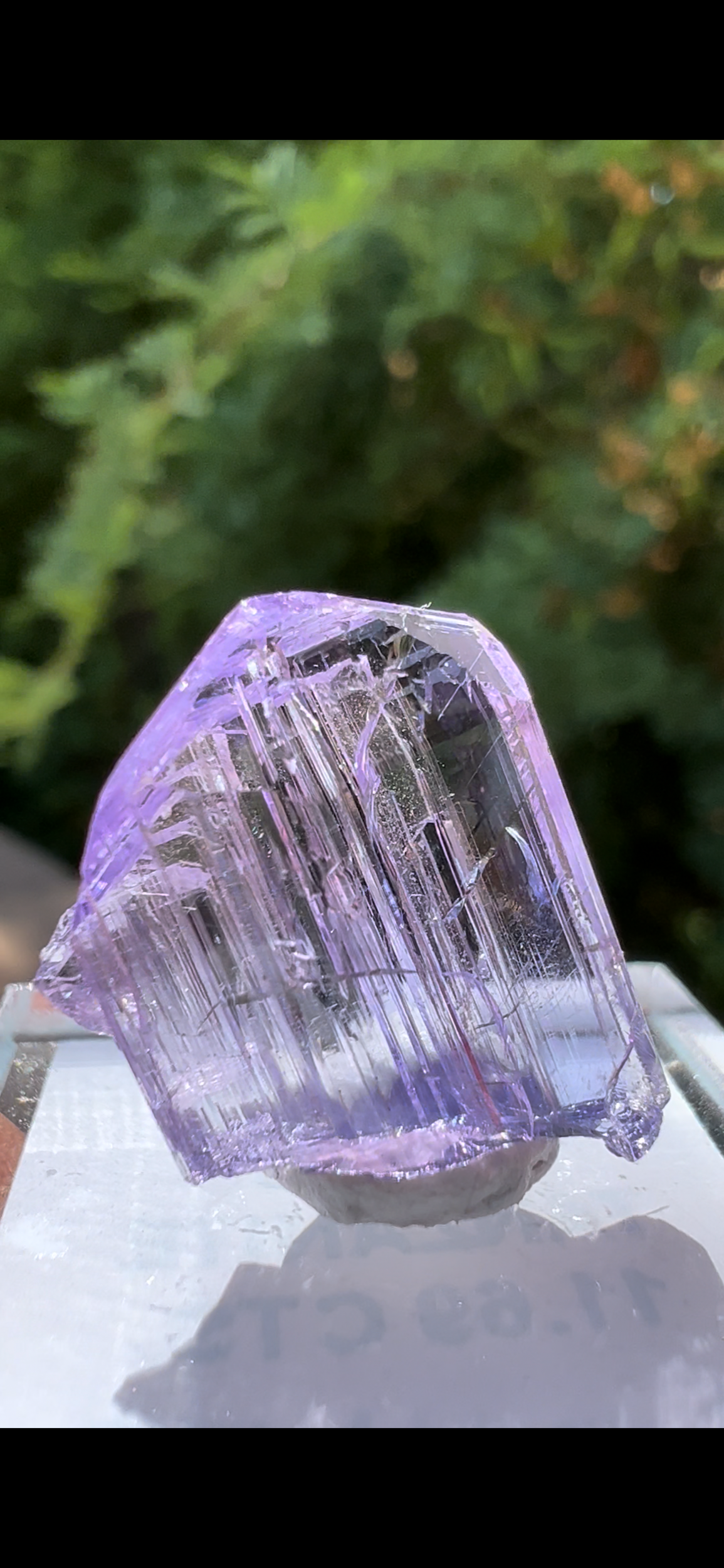 38803606-F433-4B04-BC27-BF8B937E9CFB