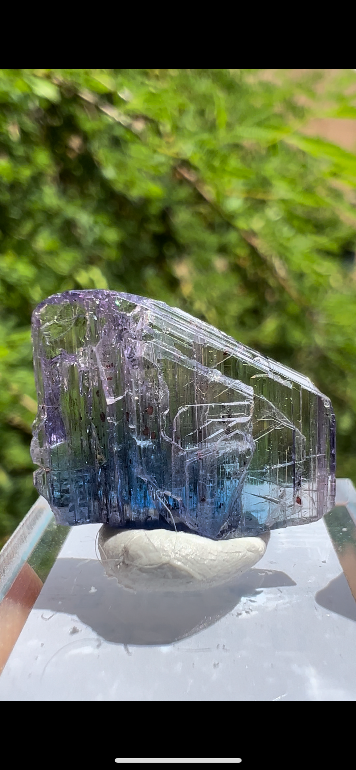 A09F6A66-7181-41E8-A41E-4D339CBB7E27