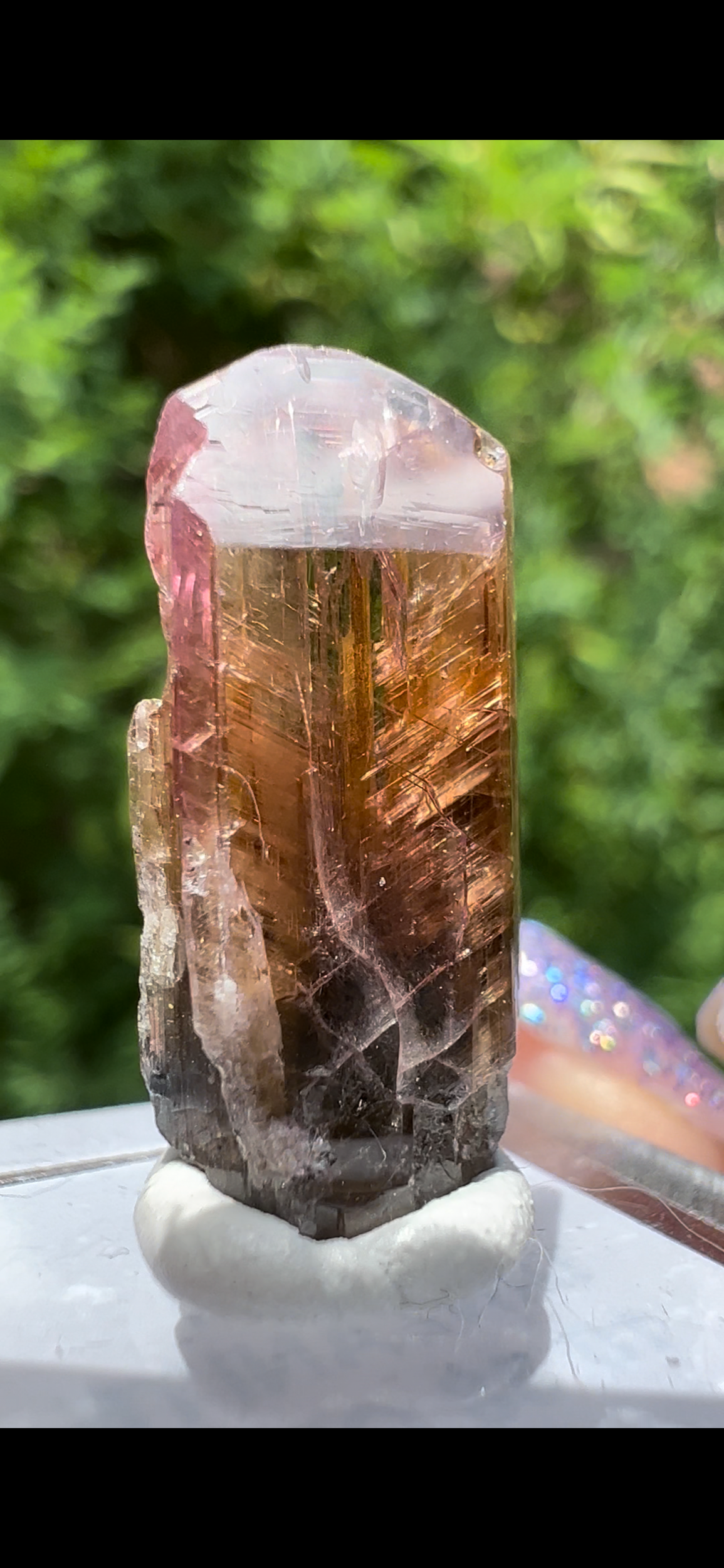 28D71636-F73E-4796-903C-7F6B4ACC929F