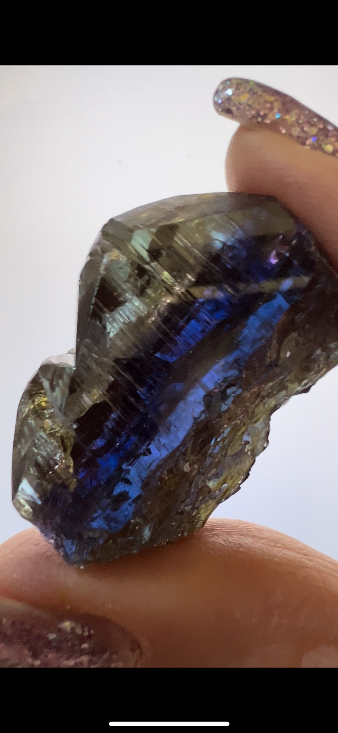 D31C722B-3FA6-4554-891D-15B366497D5D