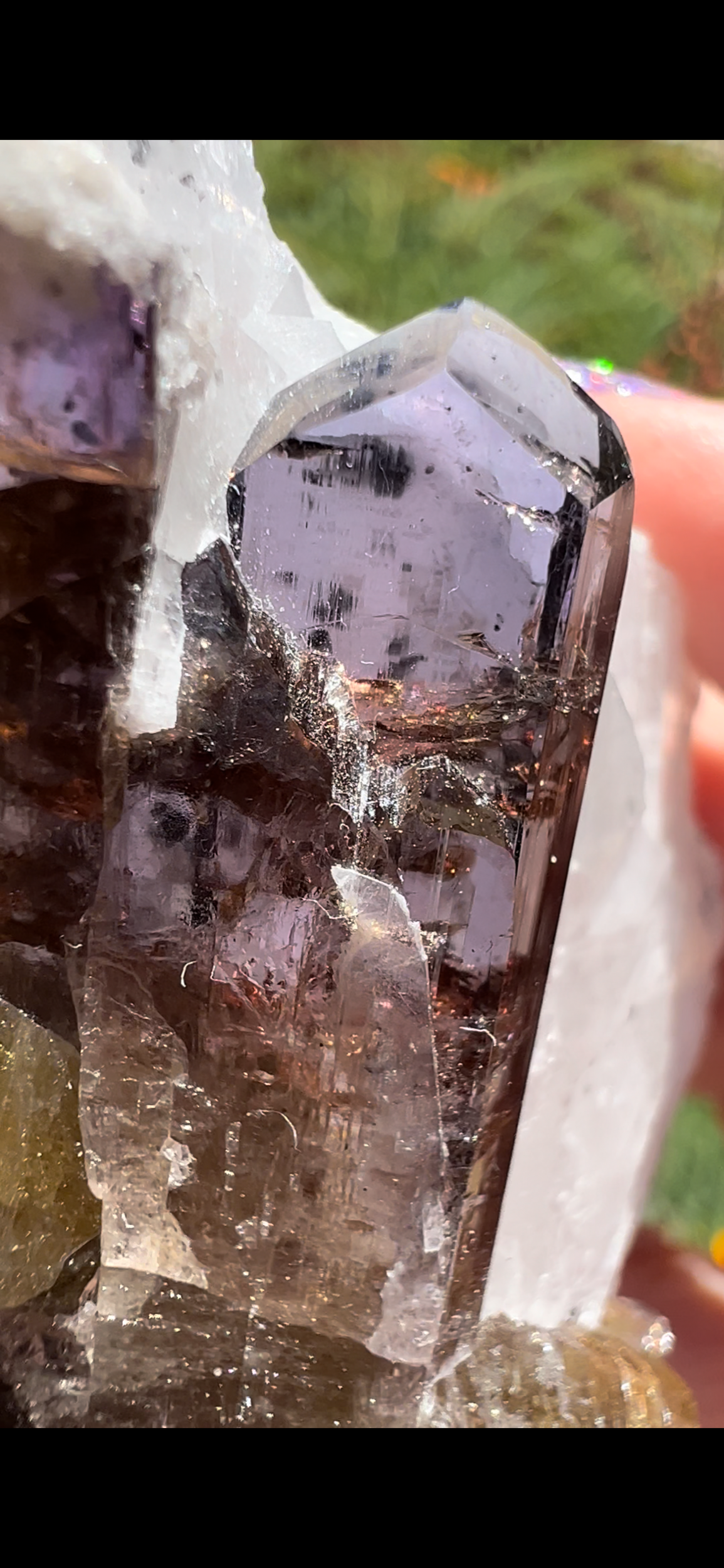 E8FDDC35-B3C1-4A70-A0AF-A6EDFC69846B