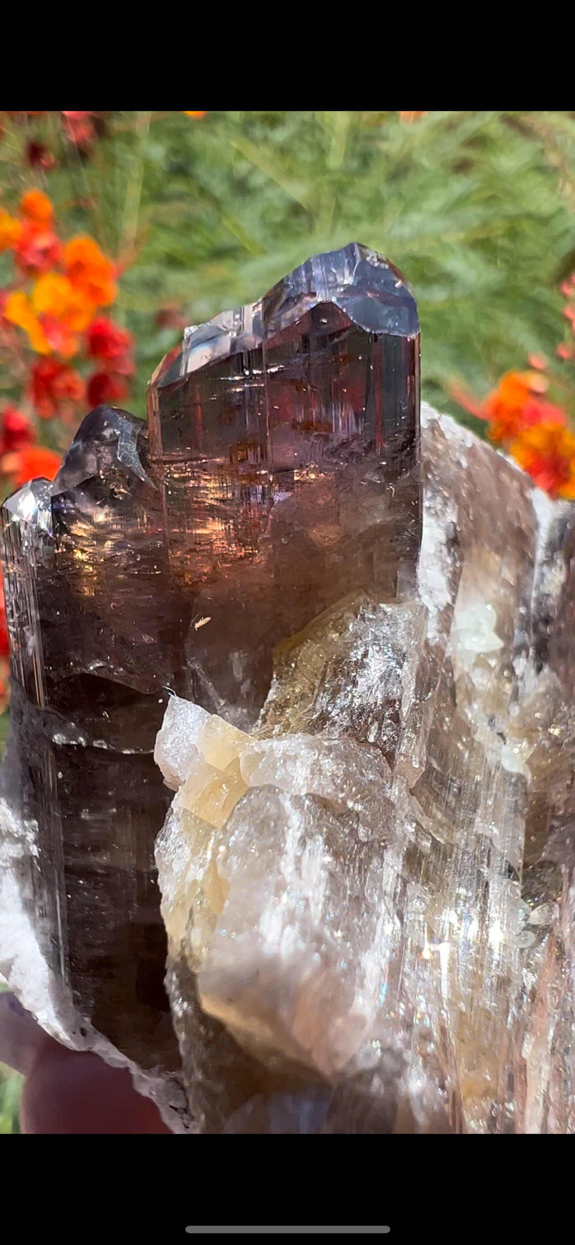 58151BB0-EF9E-42E2-9628-97A39485321B