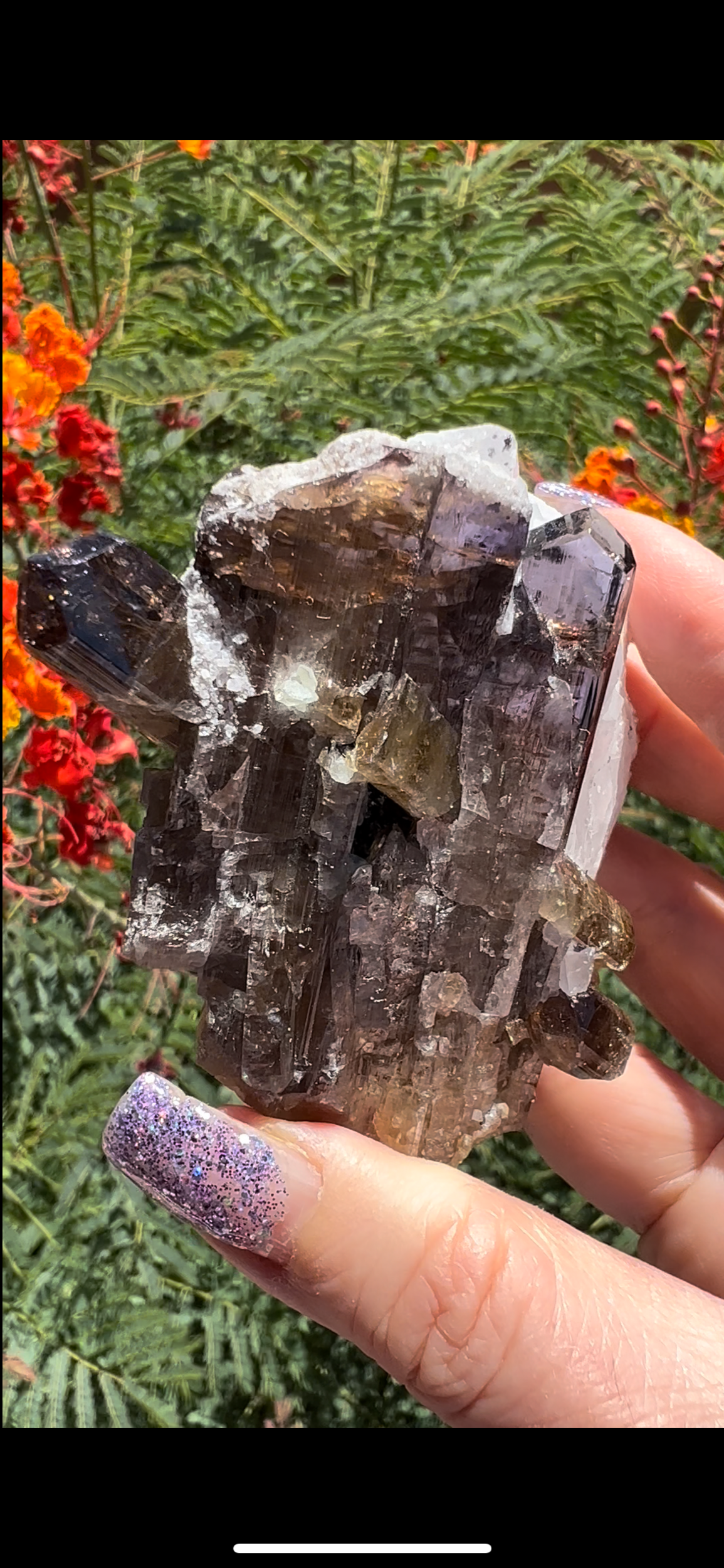 64B72B23-3B20-4485-A099-E2B39DF79B21