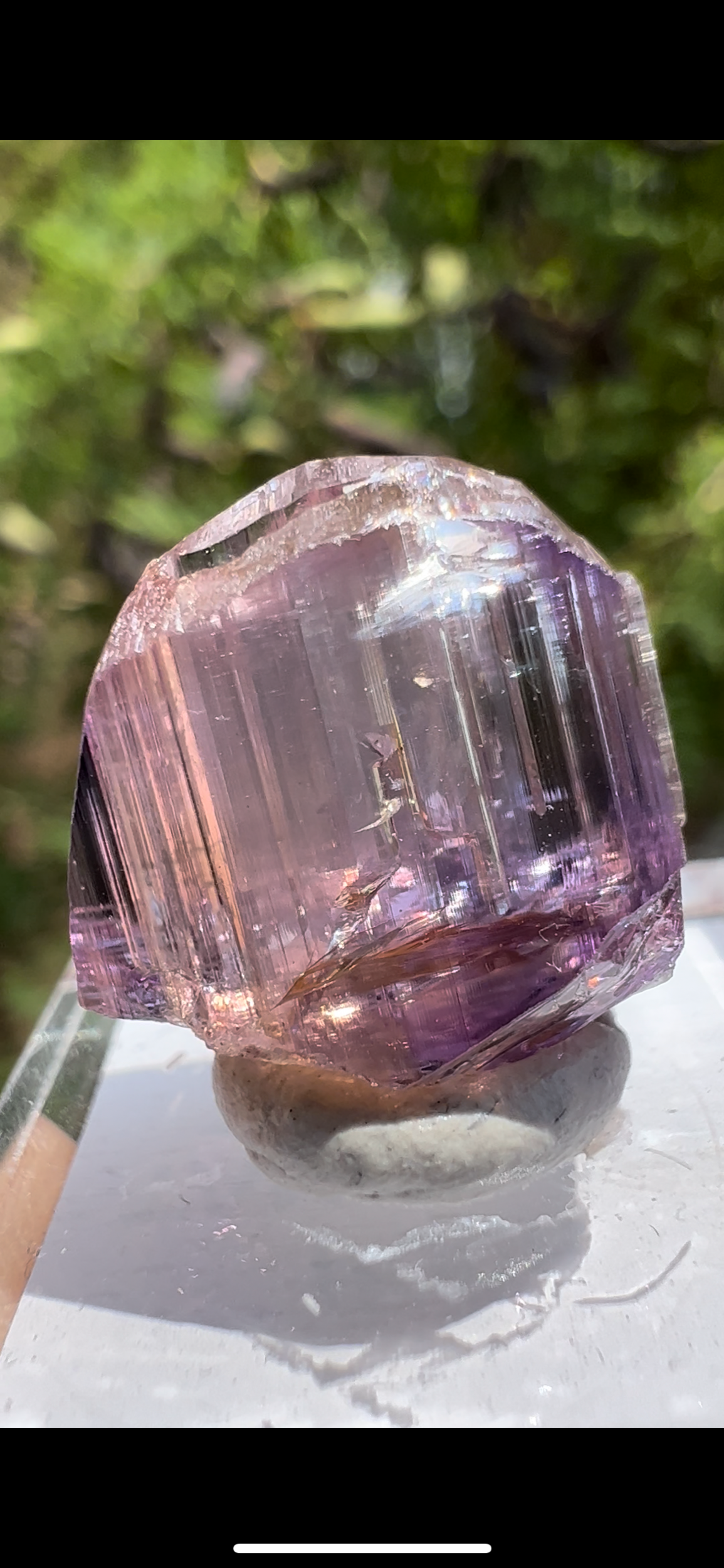 909E9D4A-DE51-41E6-BB3A-C0255BEAAA86