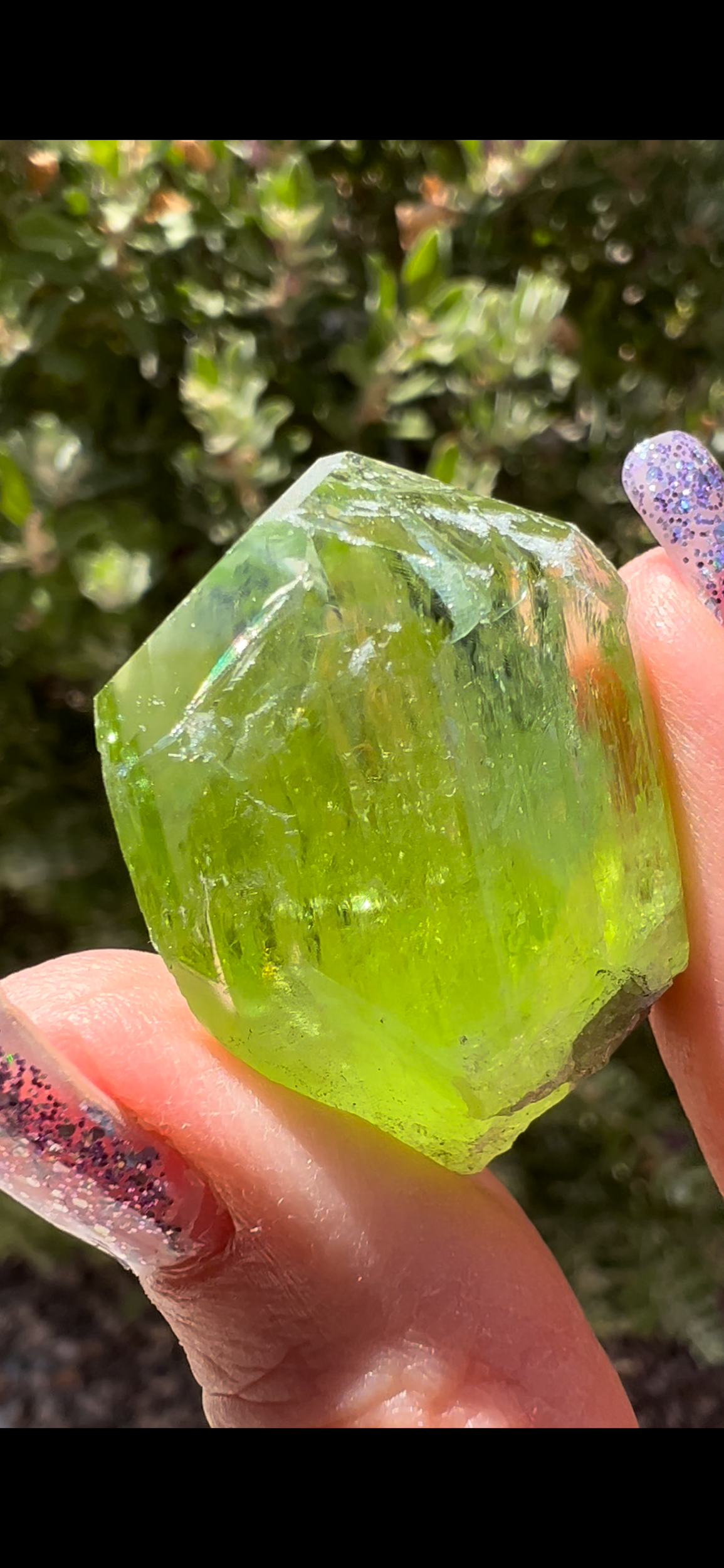 D6B2548E-9E0E-453D-9C30-333AD259AFA7