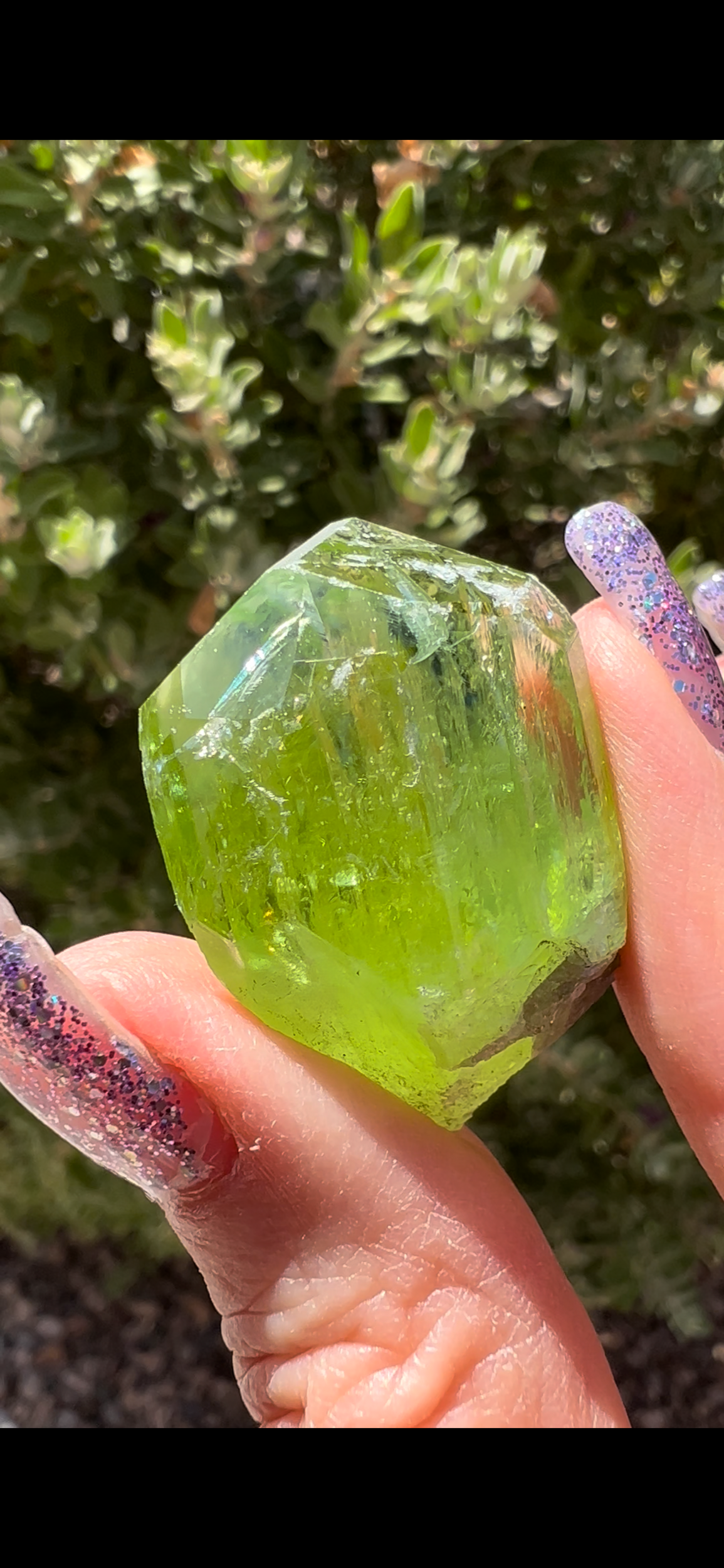 5612349D-7A1B-4FB5-81E7-2F9D70D07427