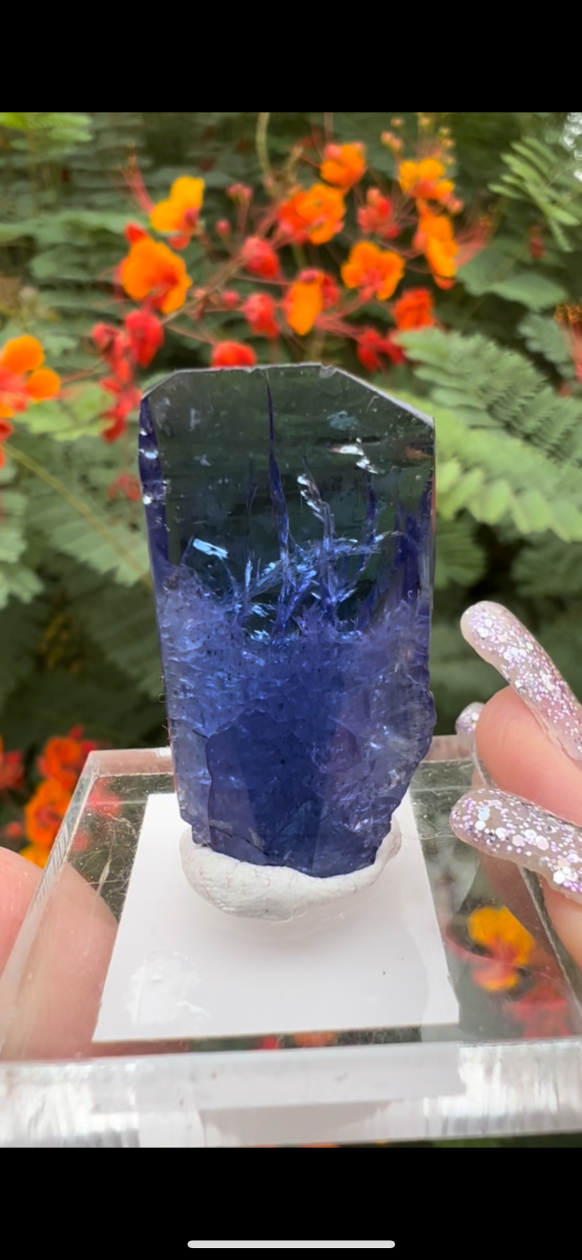 7B94E569-8590-4F97-9039-FEE5AC0F5AAB