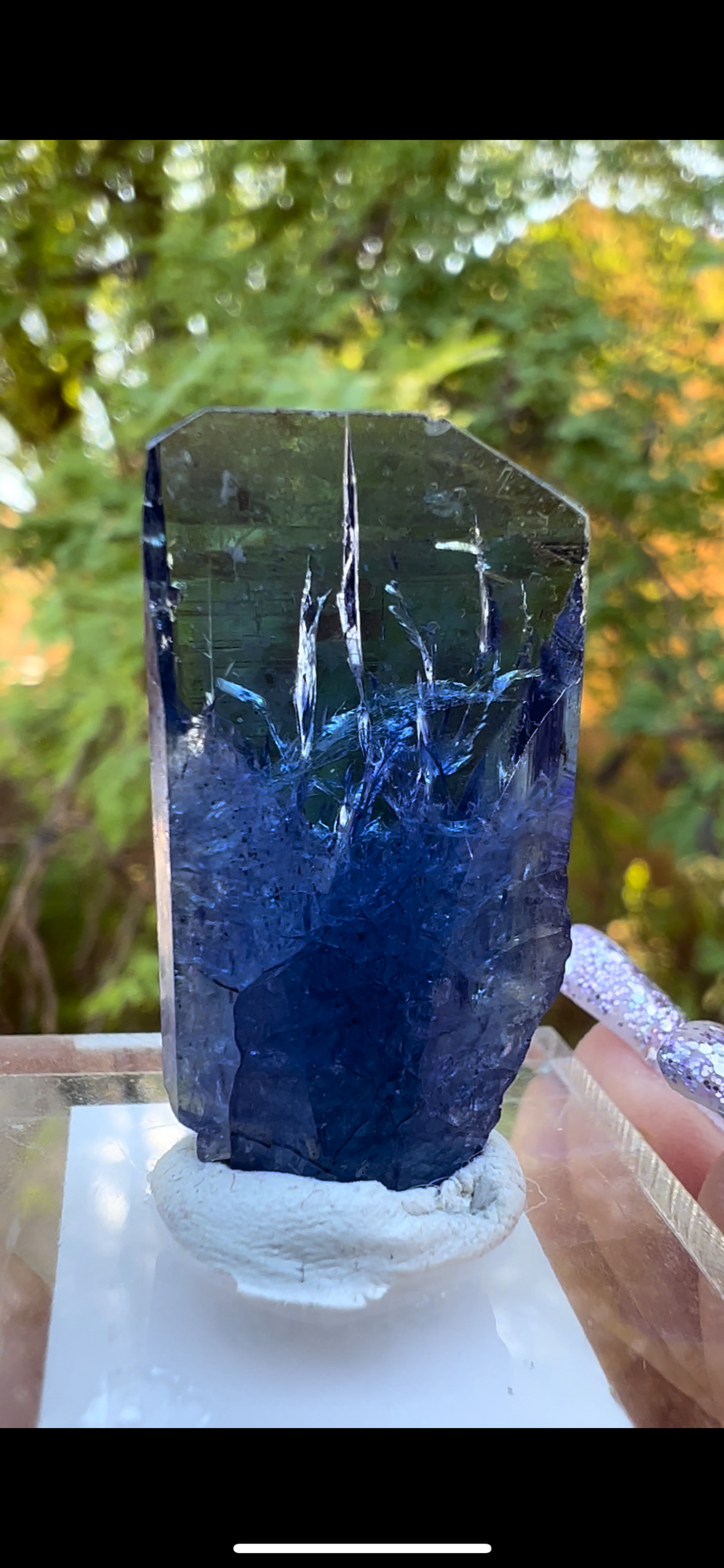 61F43AB1-D95C-4FCA-AA18-6F2AEDE1BAD1