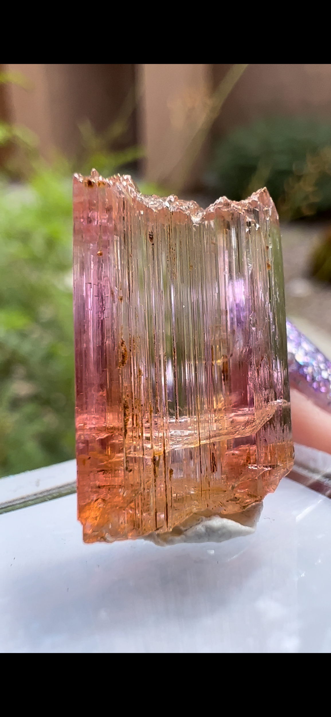 C5B44663-DCD0-4D0C-9CEA-75949197154B