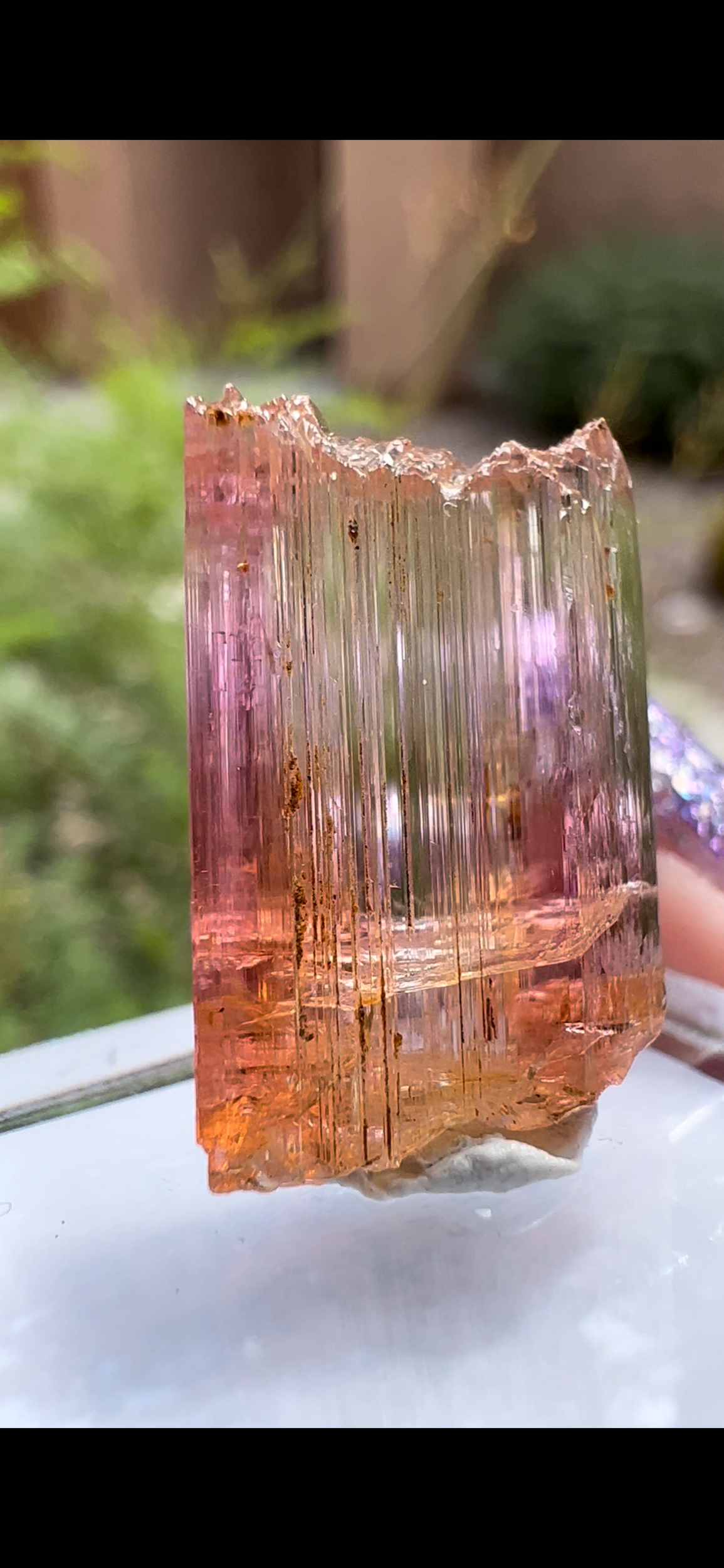 7513536D-207C-49CC-82E5-0B9DC7A244E4