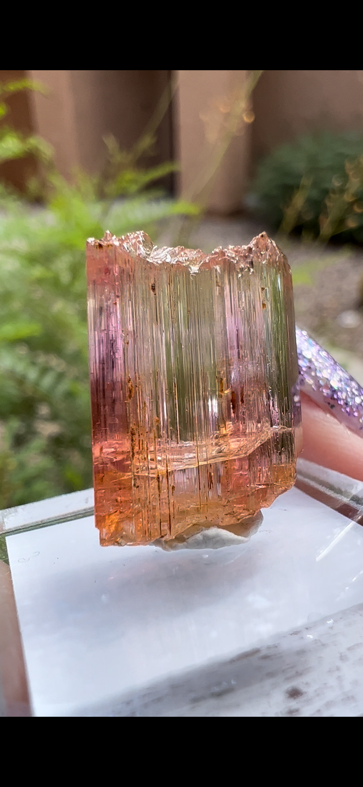 3E6F1B4D-09F2-46EF-9BE1-12FAB5A8EBE4