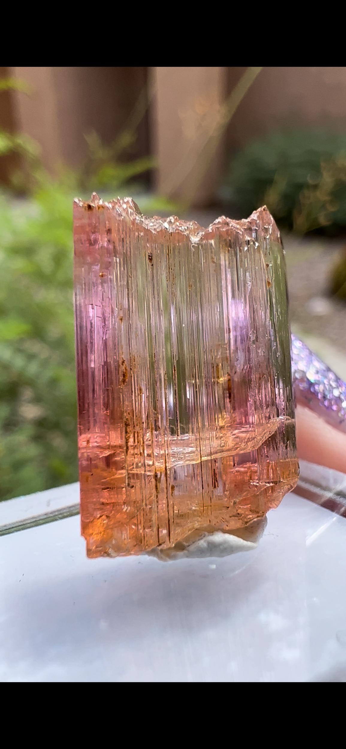 FFA864E3-B782-4C96-8C83-ADFEF237E4A2