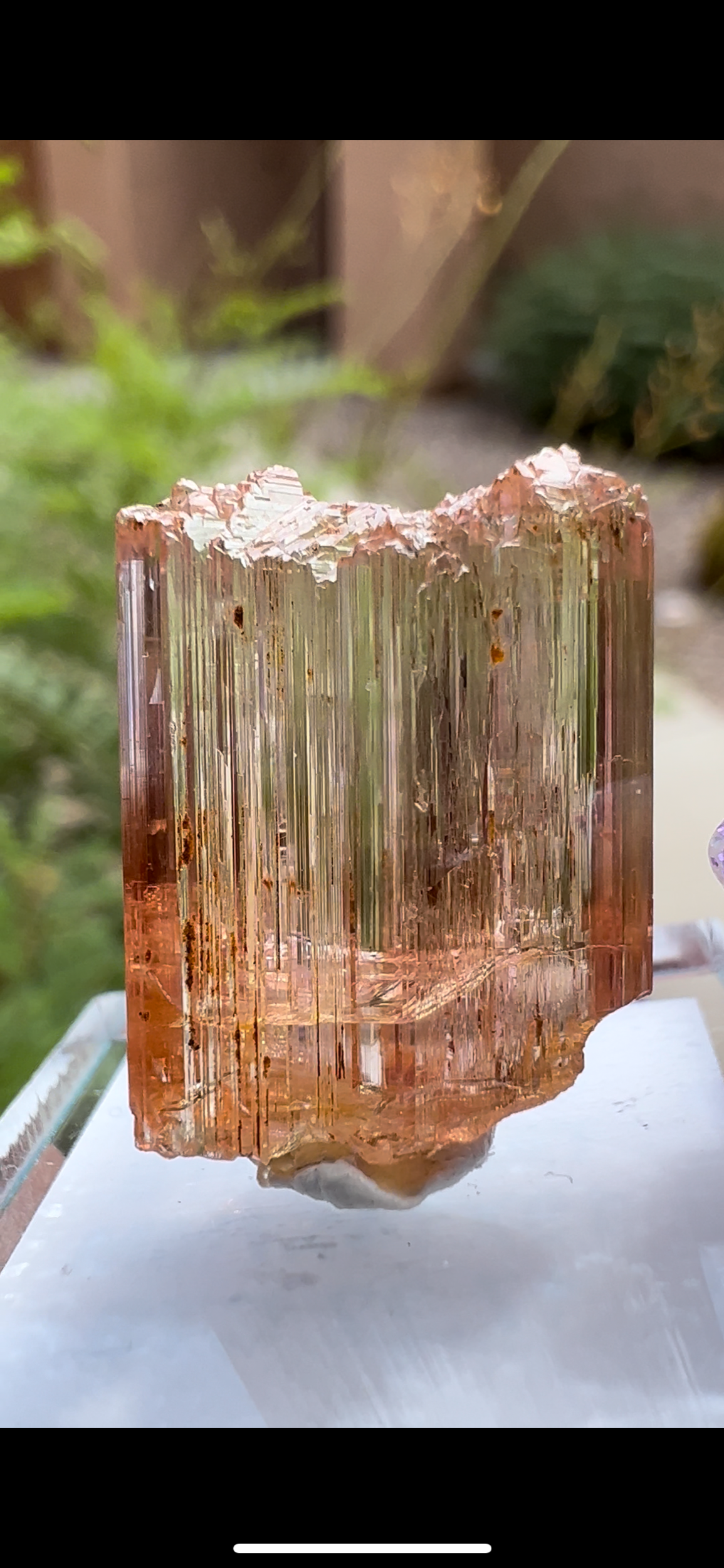 12638E91-E461-4D9E-9303-25809F27466D