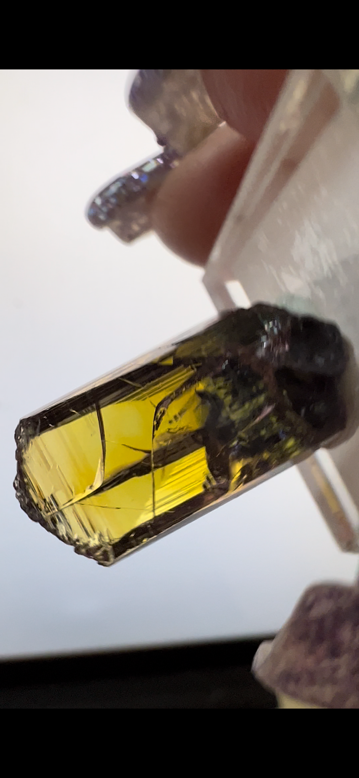 3827E5C4-C8C3-4275-A66E-417208BE1716