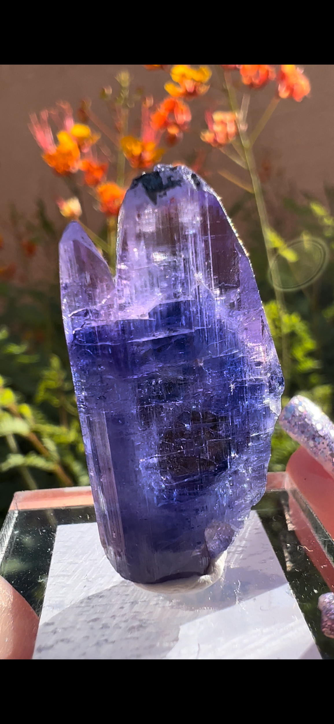 BB918DC1-BE64-4868-9DBA-4D9DE1AADDD6